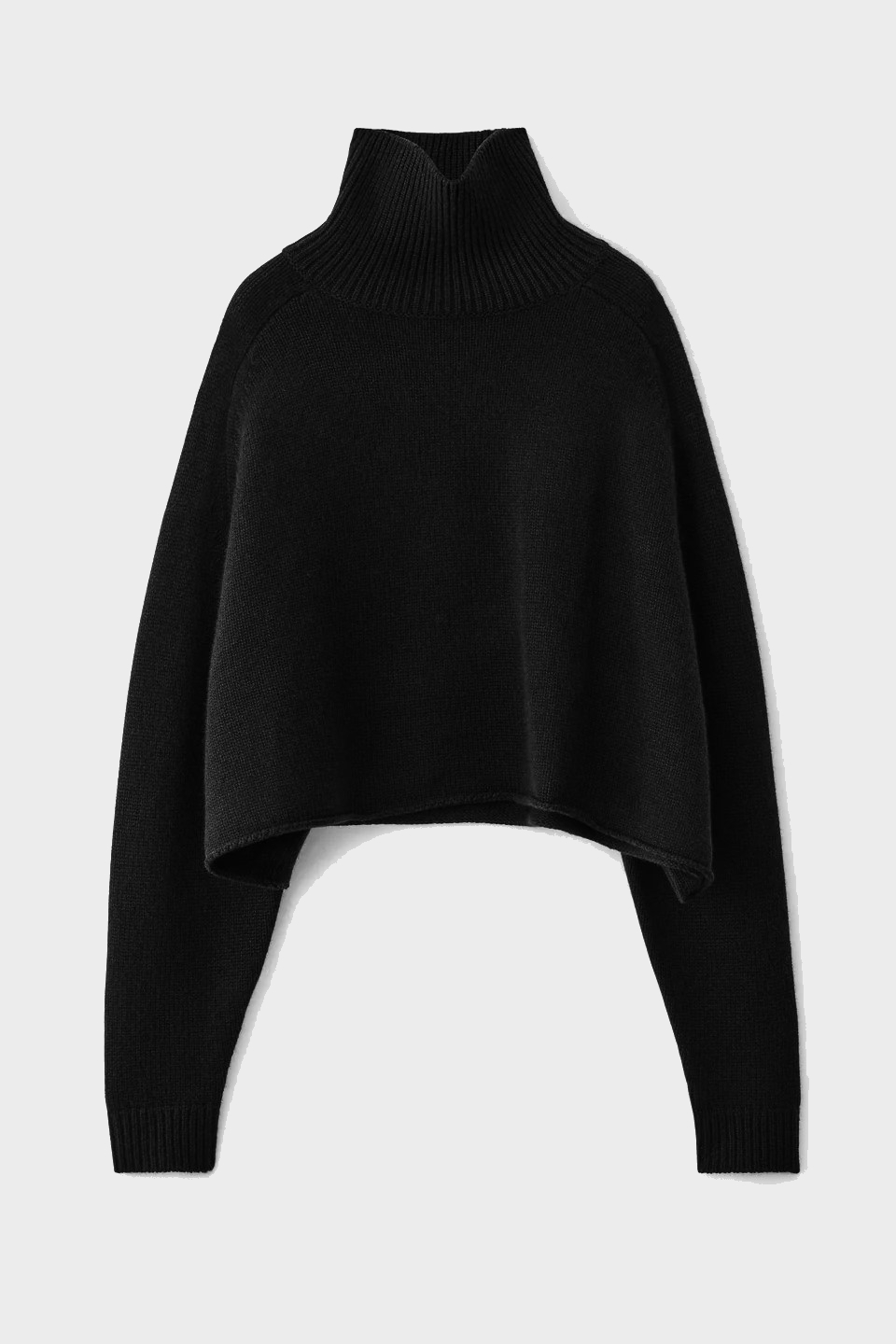 LISA YANG Cashmere Turtle Neck Sweater in Black