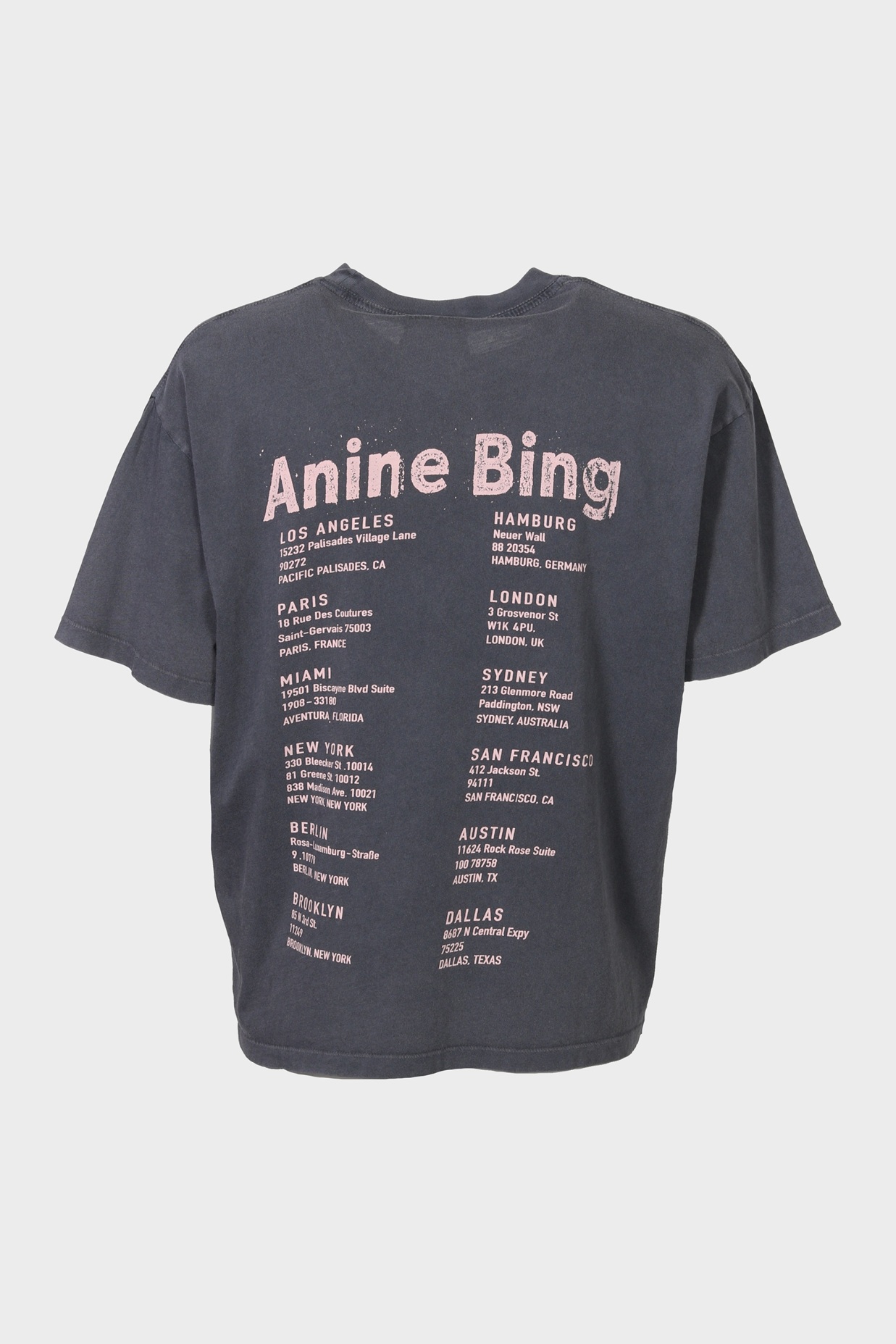 ANINE BING Cade Tee Smiley in Washed Grey