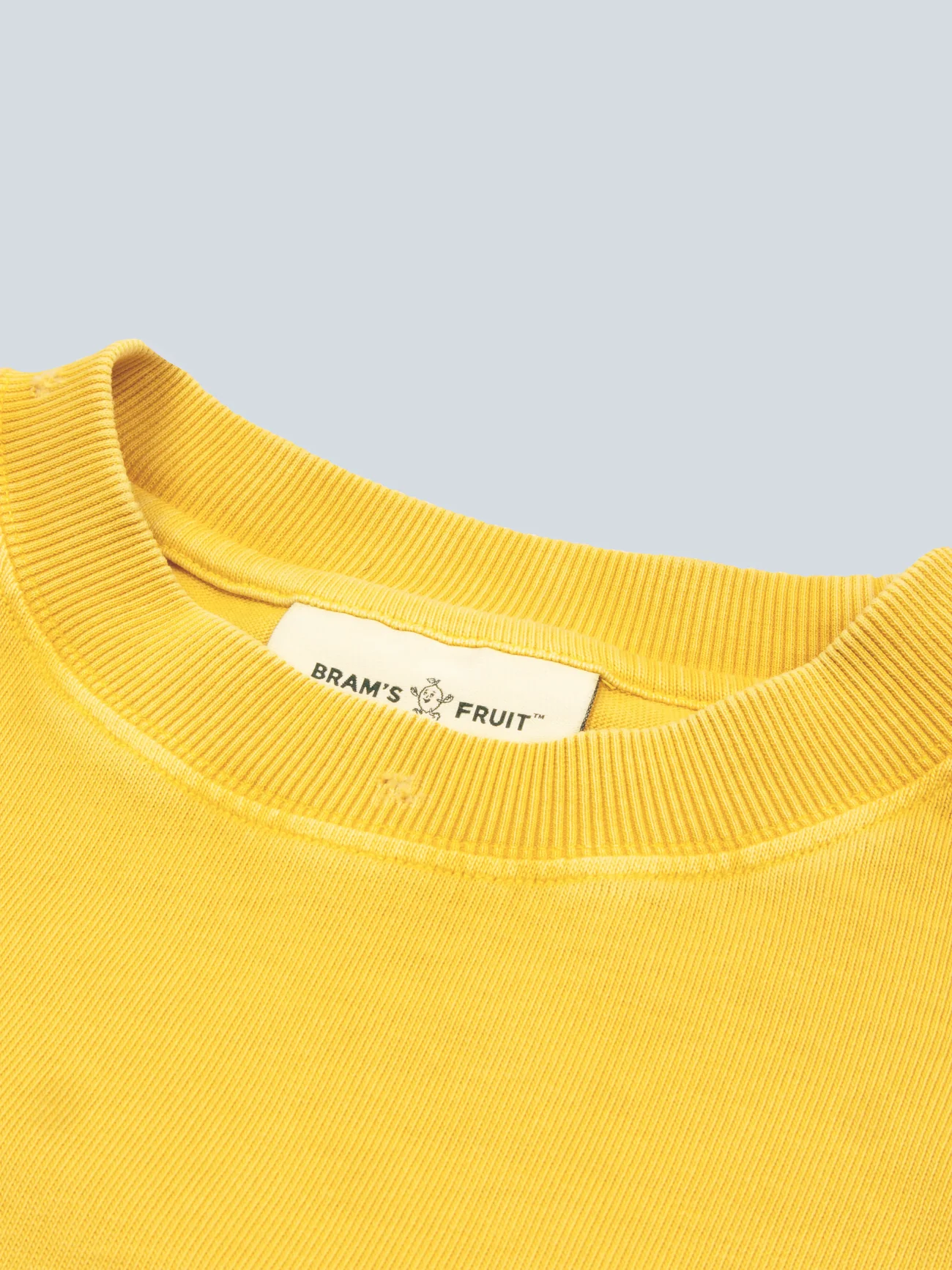 BRAM'S FRUIT ''F*ck Off'' Distressed T-Shirt in Washed Dried Orange