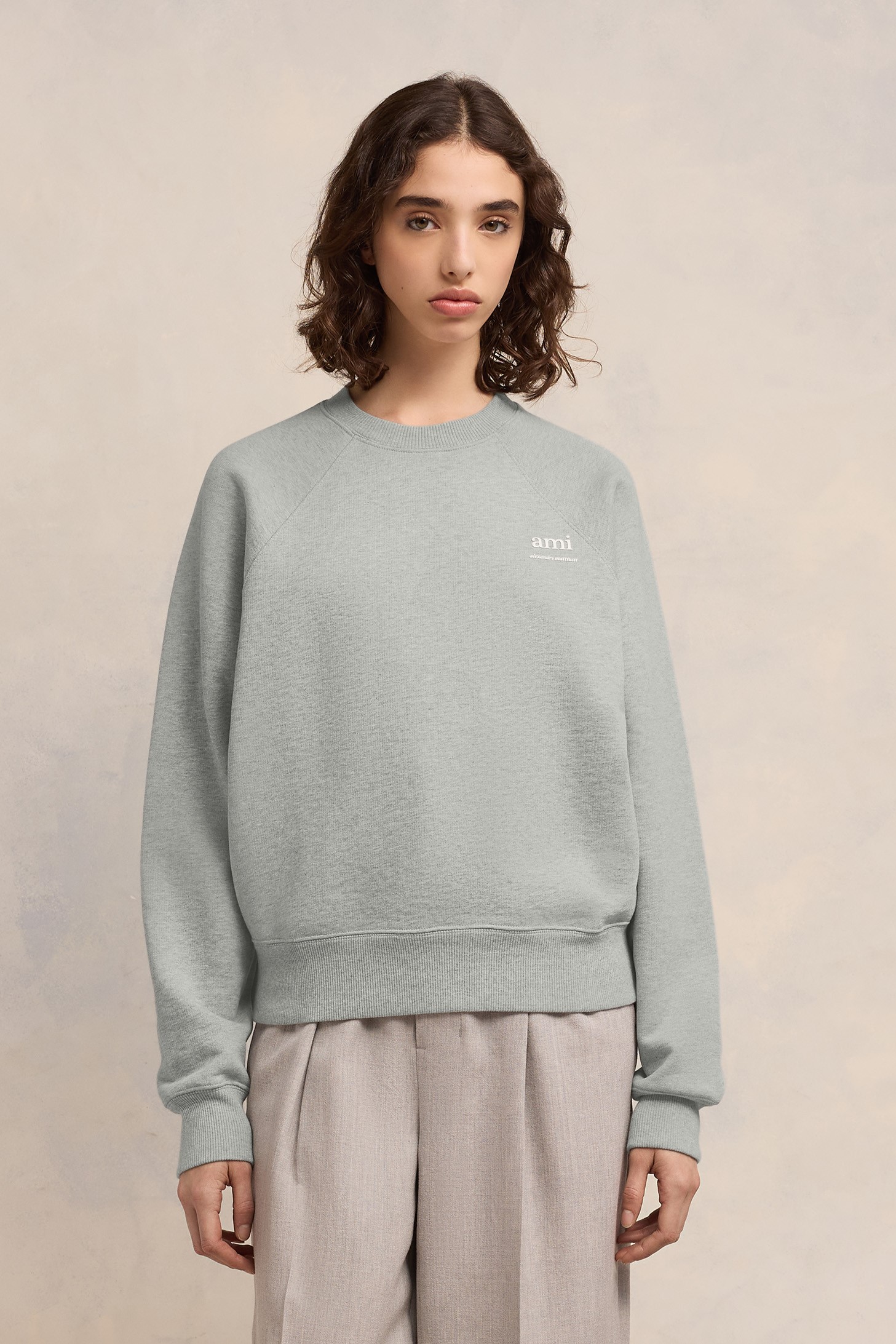 AMI PARIS Alexandre Mattiussi Sweatshirt in Heather Ash Grey XXL