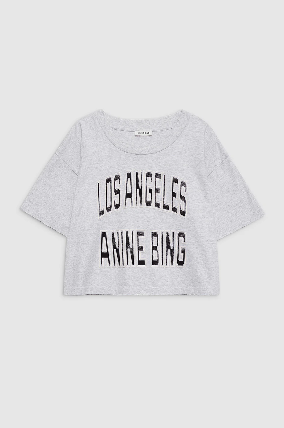ANINE BING Cropped Boxy Fit T-Shirt in Grey
