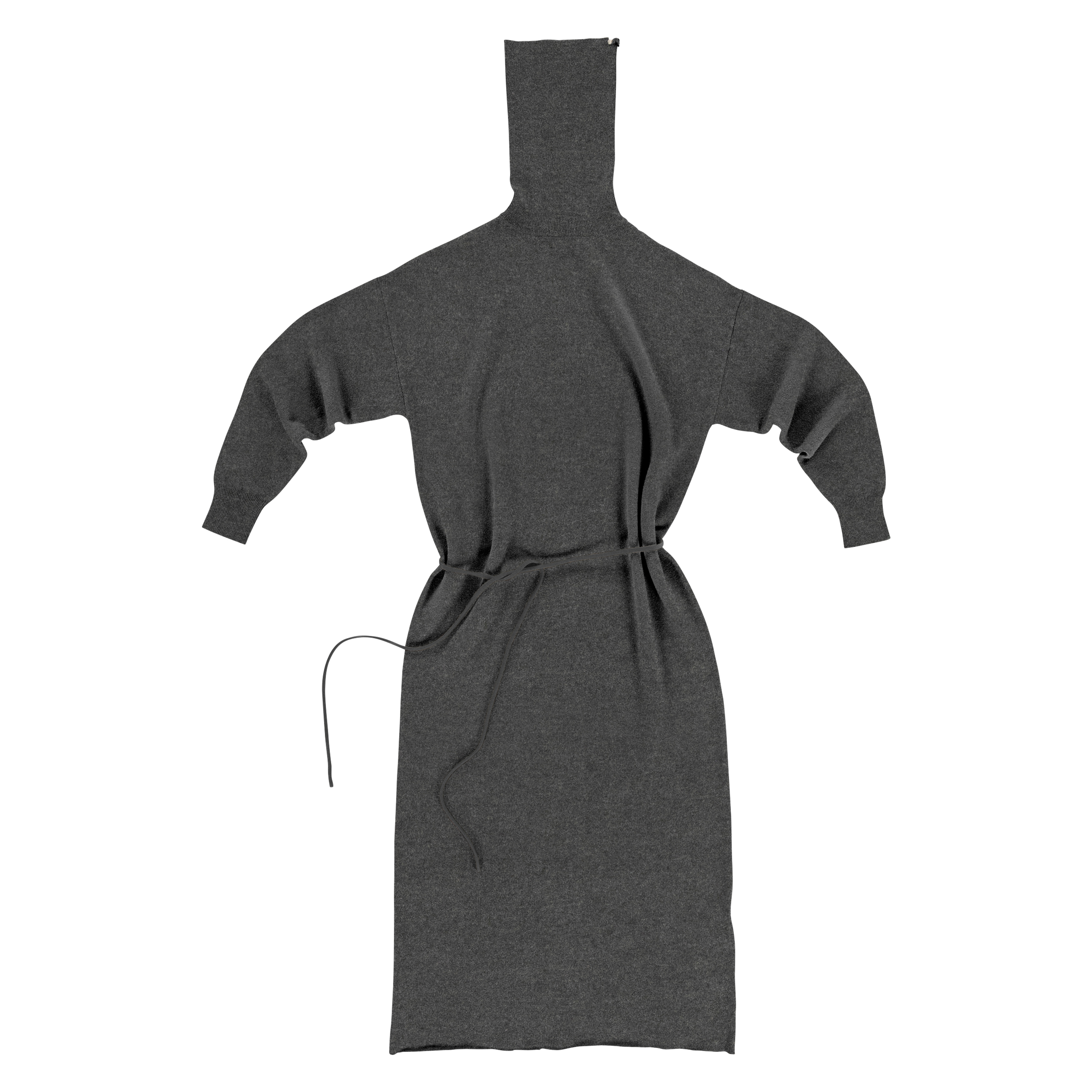 Extreme Cashmere Turtleneck Dress N°209 Attraction in Felt