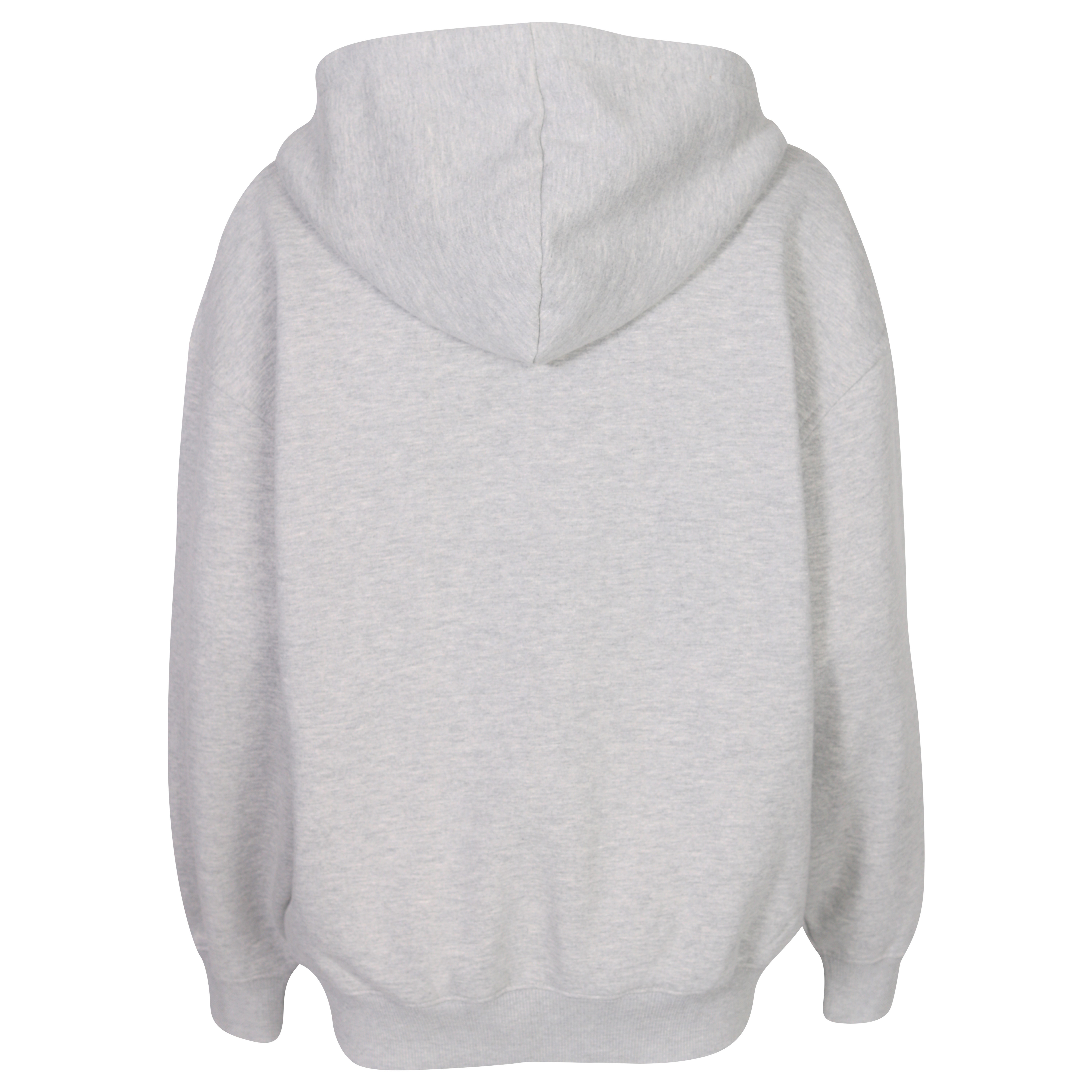 Anine Bing Zane Zip Hoodie in Heather Grey S