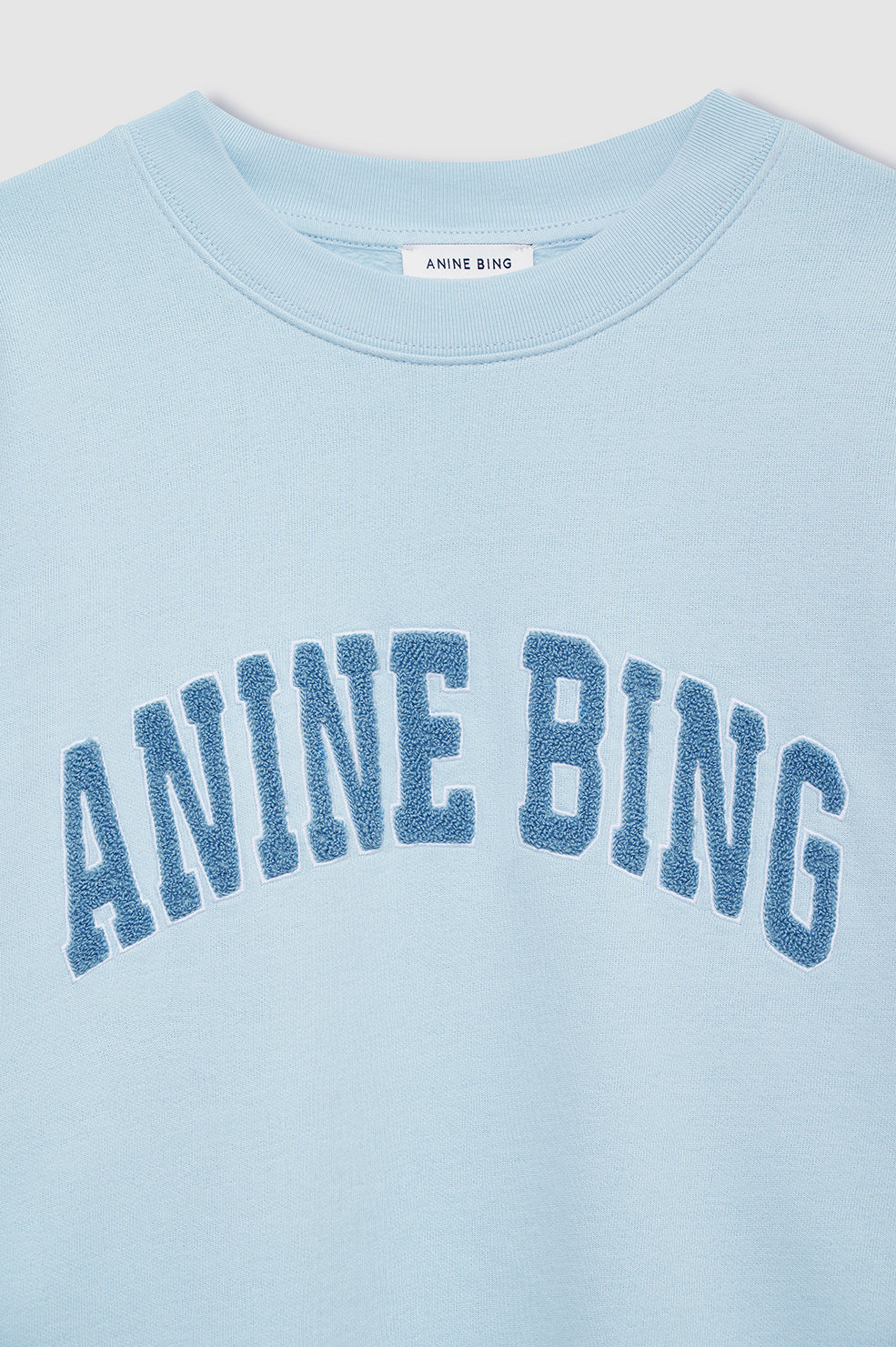 ANINE BING Miles Sweatshirt in Pale Blue