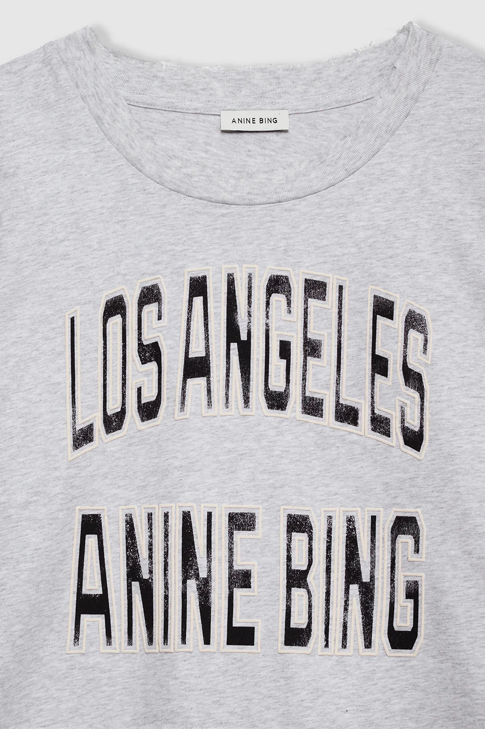 ANINE BING Cropped Boxy Fit T-Shirt in Grey