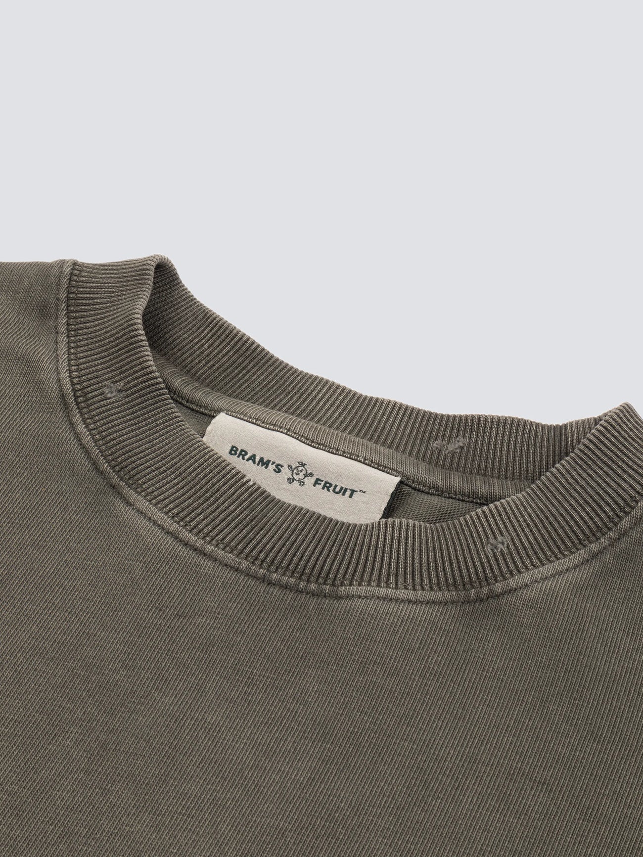 BRAM'S FRUIT ''F*ck Off'' Distressed T-Shirt in Washed Charcoal