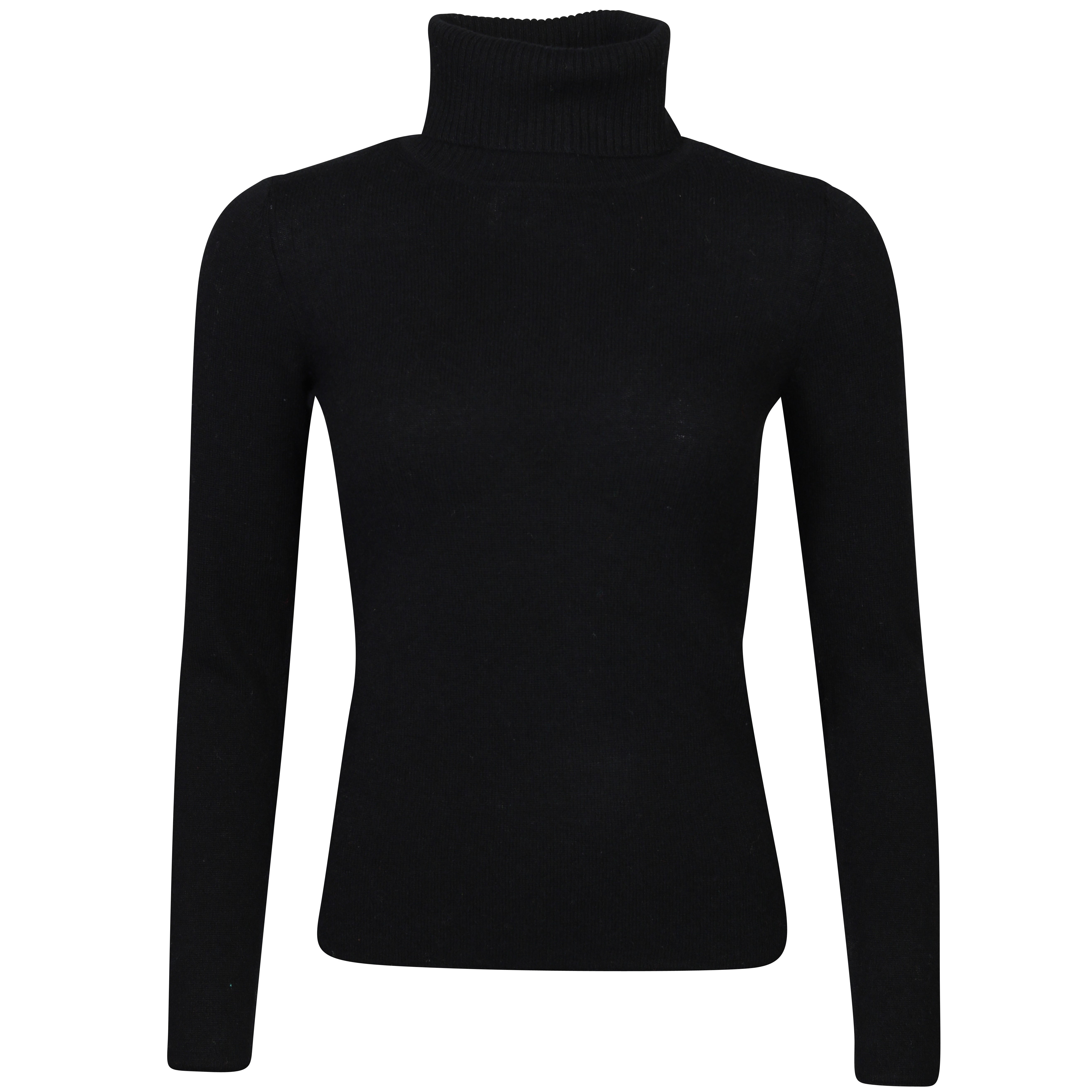 Absolut Cashmere Nina Turtle Neck in Noir XS