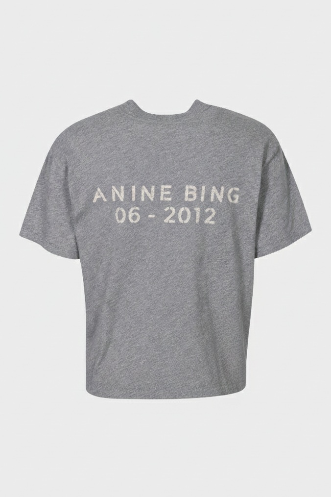 ANINE BING Backprinted T-Shirt Wagner in Grey