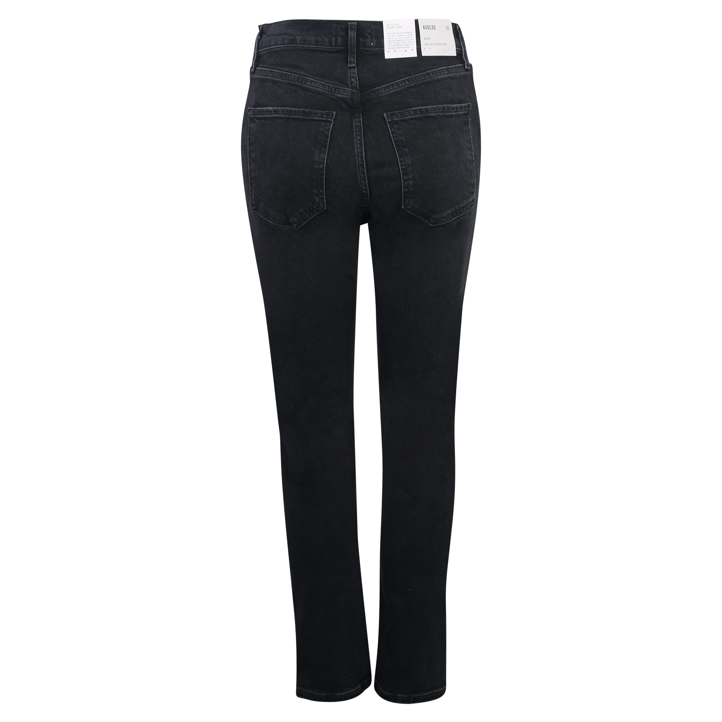 Agolde Jeans Riley in Panoramic Black Washed 30