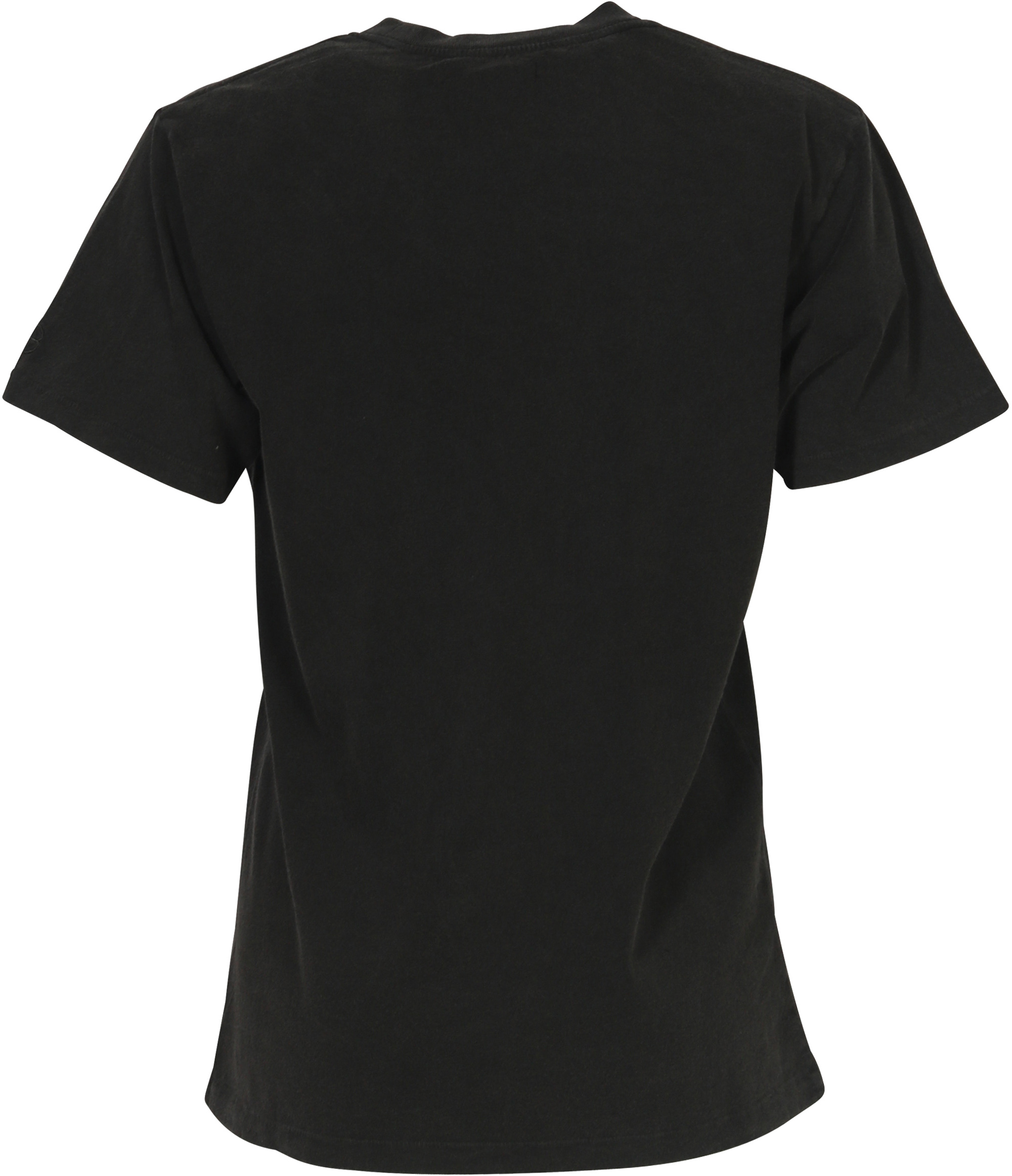 Anine Bing Lili Tee Eagle Washed Black