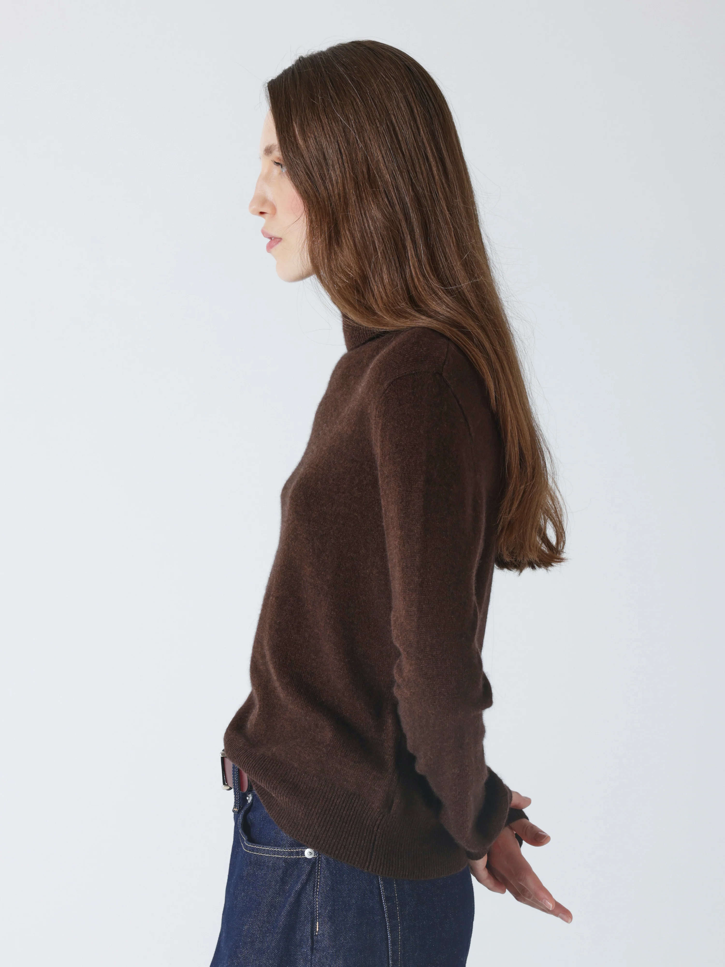 ABSOLUT CASHMERE Turtleneck Sweater in Brown