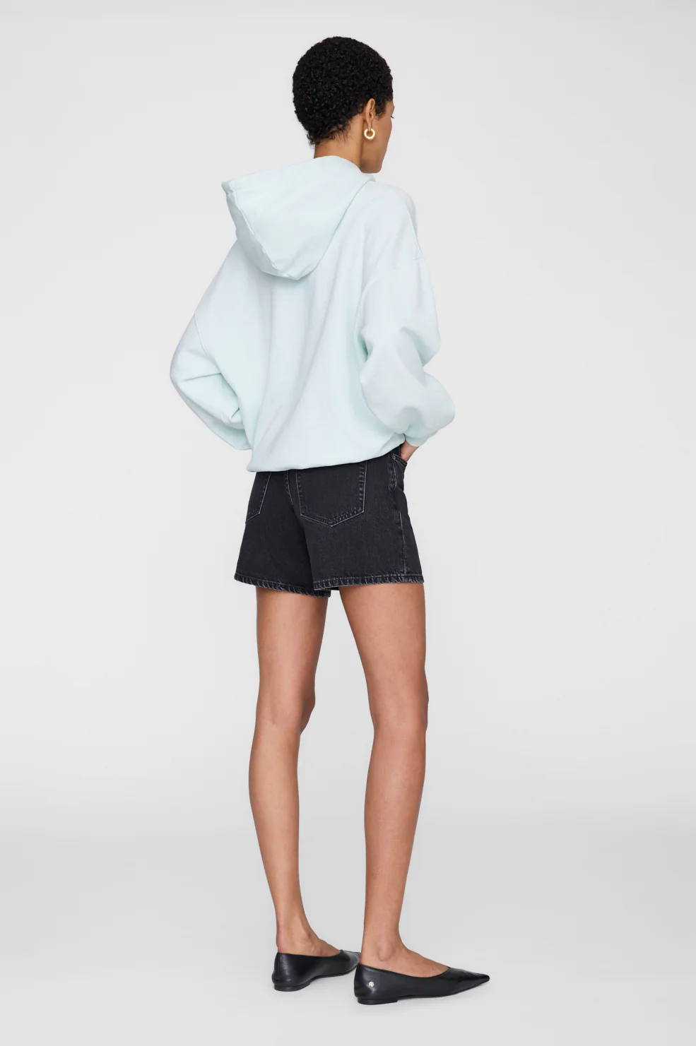 ANINE BING Harvey Sweatshirt in Spring Mint