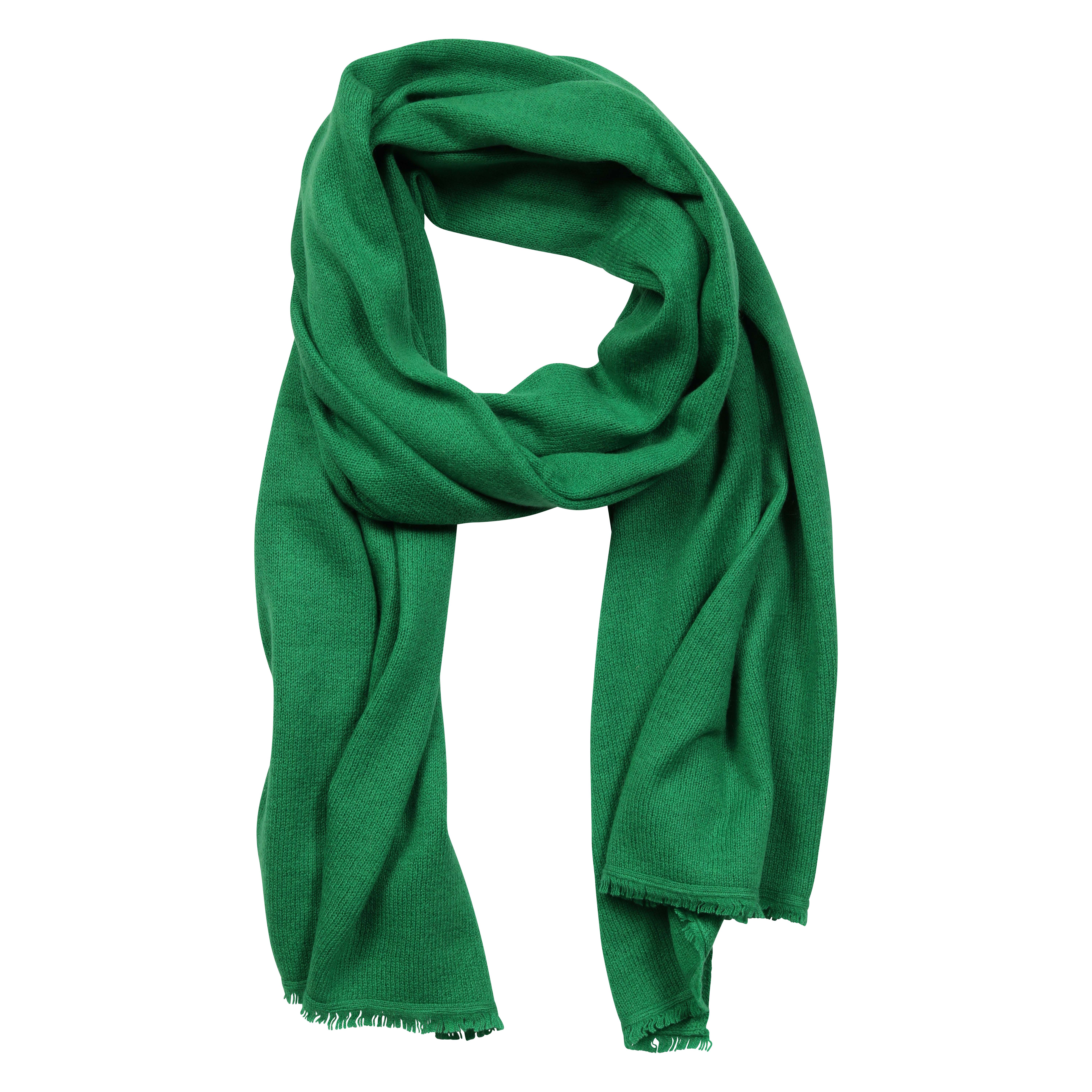 Flona Cashmere Scarf in Green