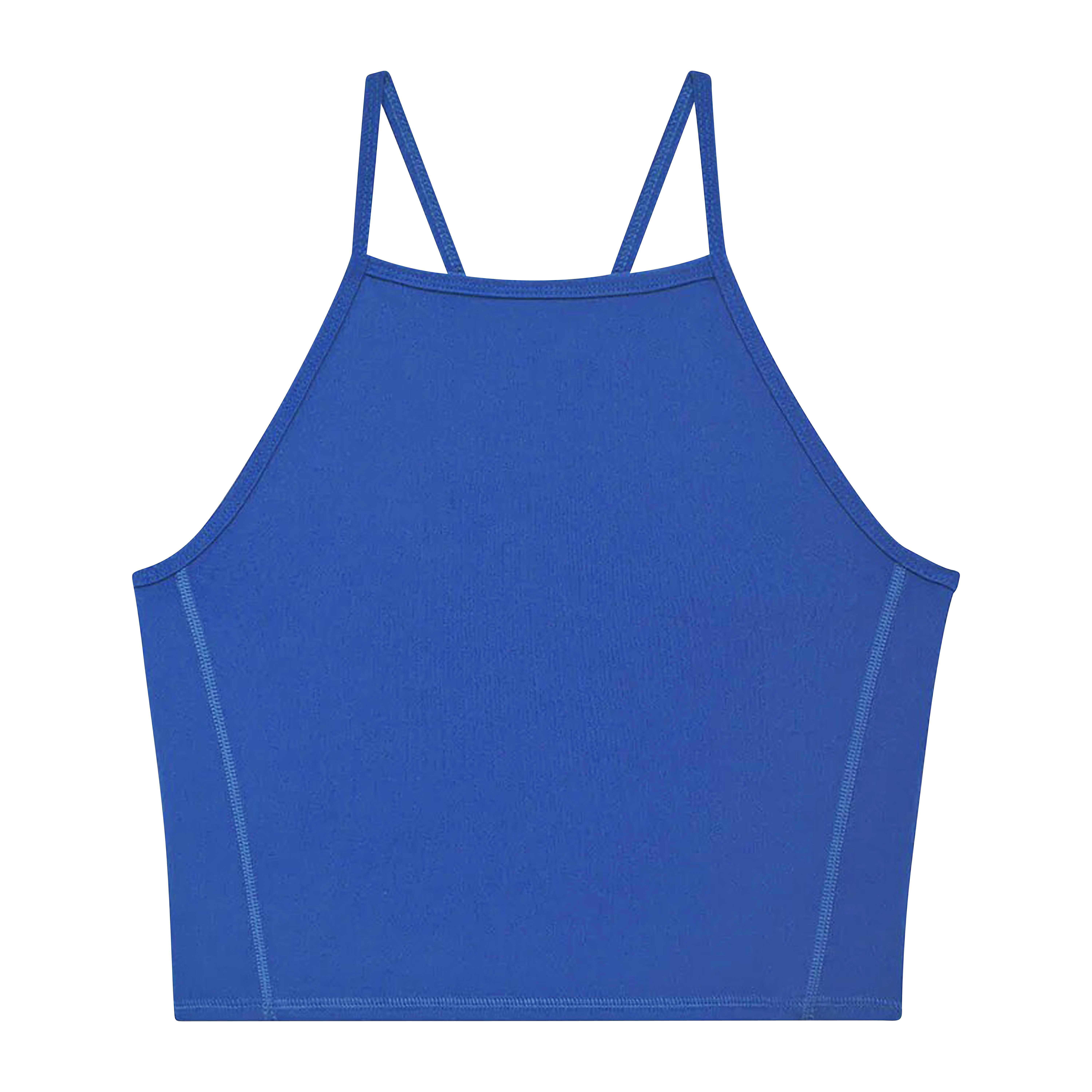 Anine Bing Cai Tank in Electric Blue