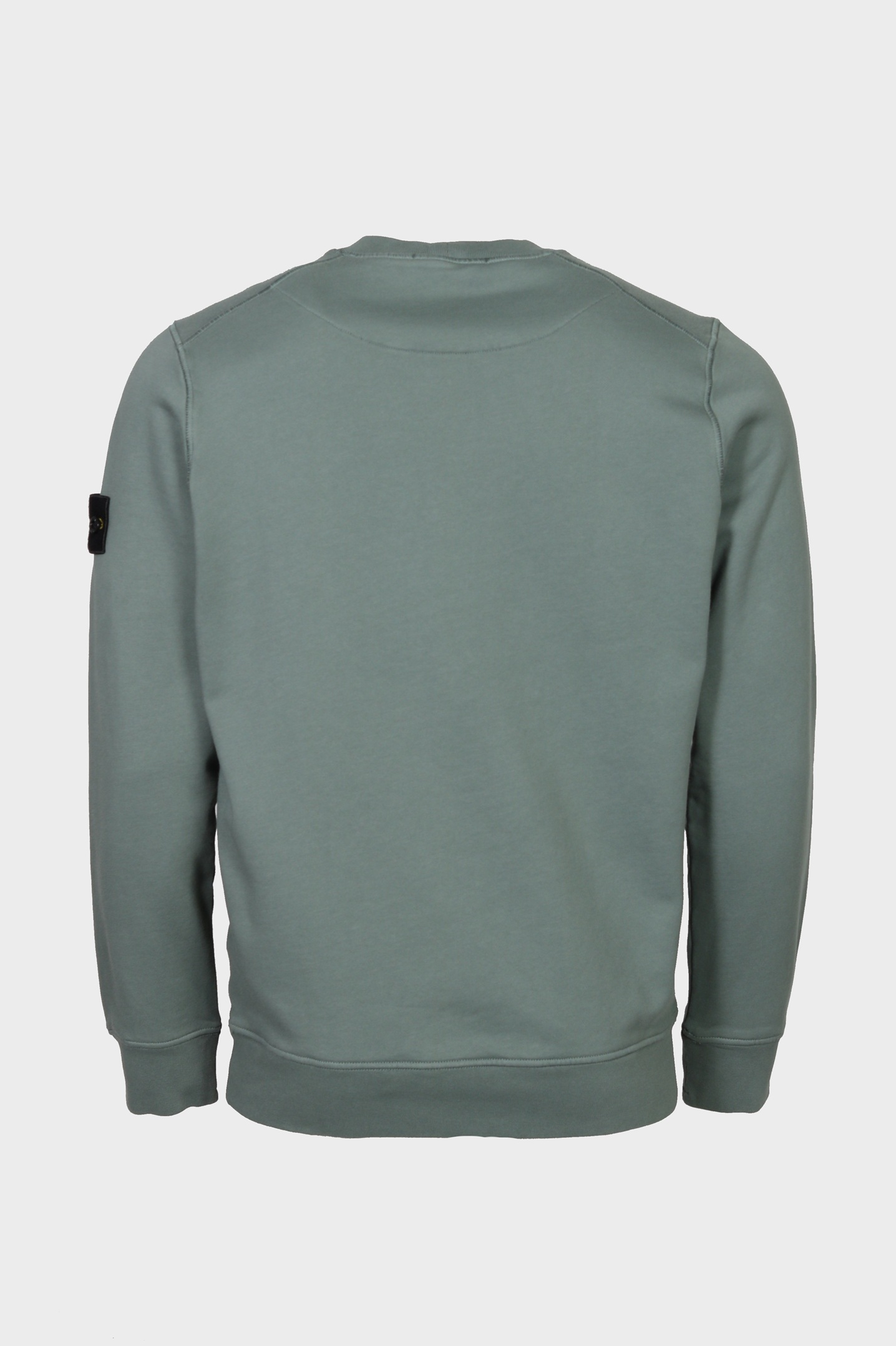 STONE ISLAND Sweatshirt in Sage Green