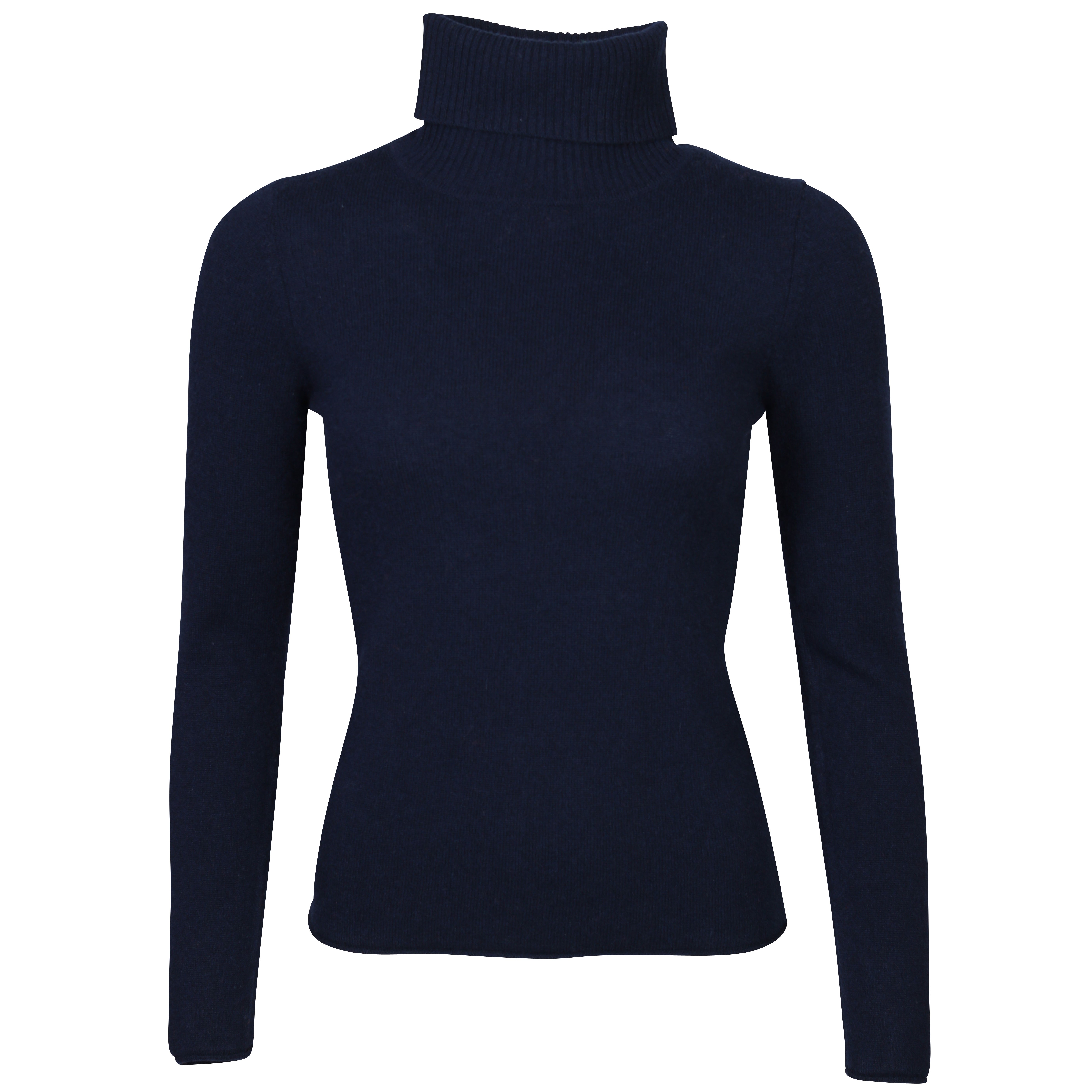 Absolut Cashmere Nina Turtle Neck in Nuit S