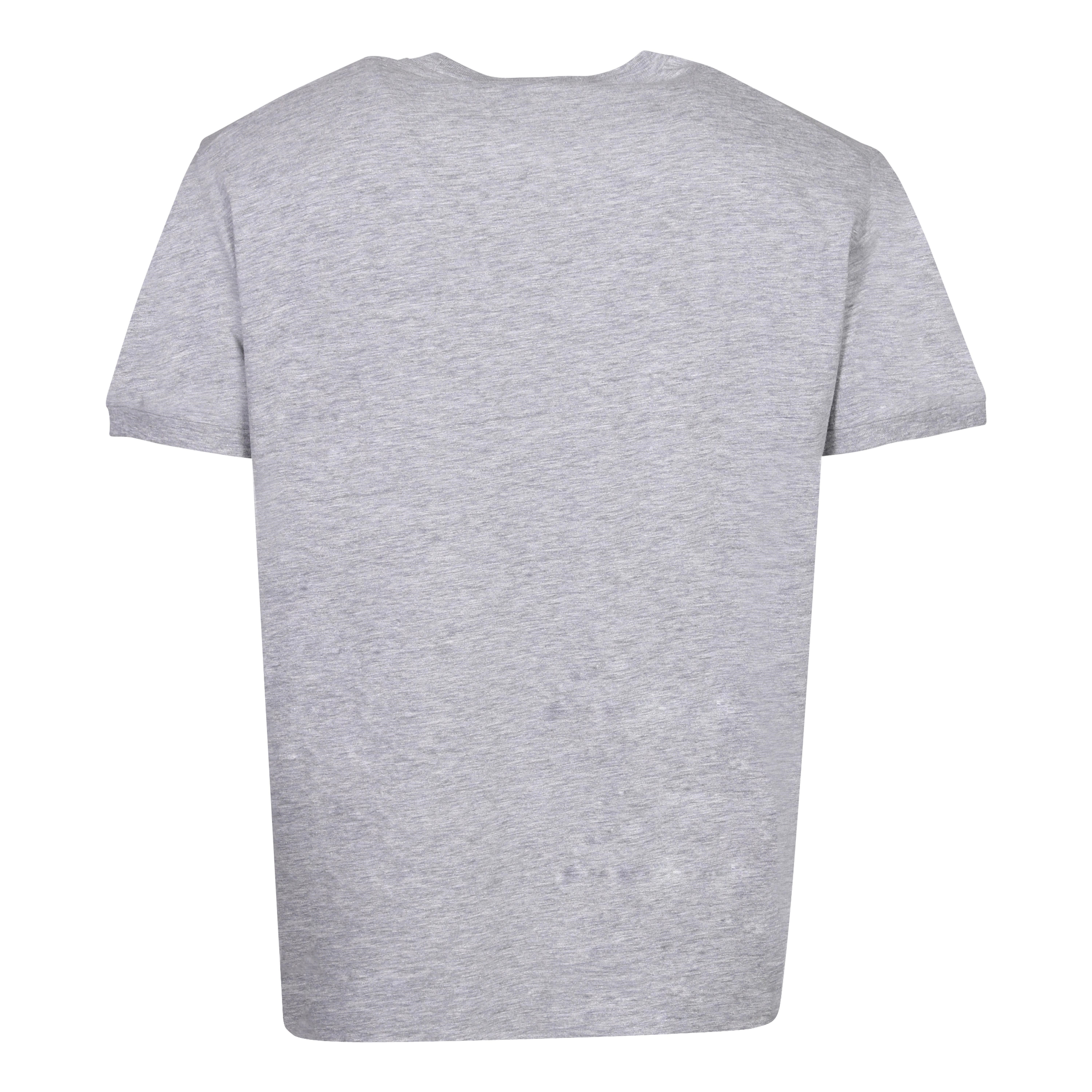 Dsquared D2 Phys Ed T-Shirt in Grey Melange