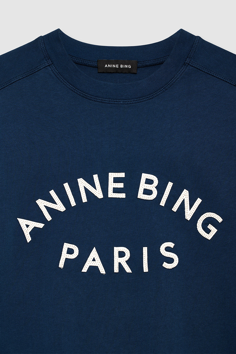 ANINE BING Paris Relaxed Boxy Fit T-Shirt in Washed Navy