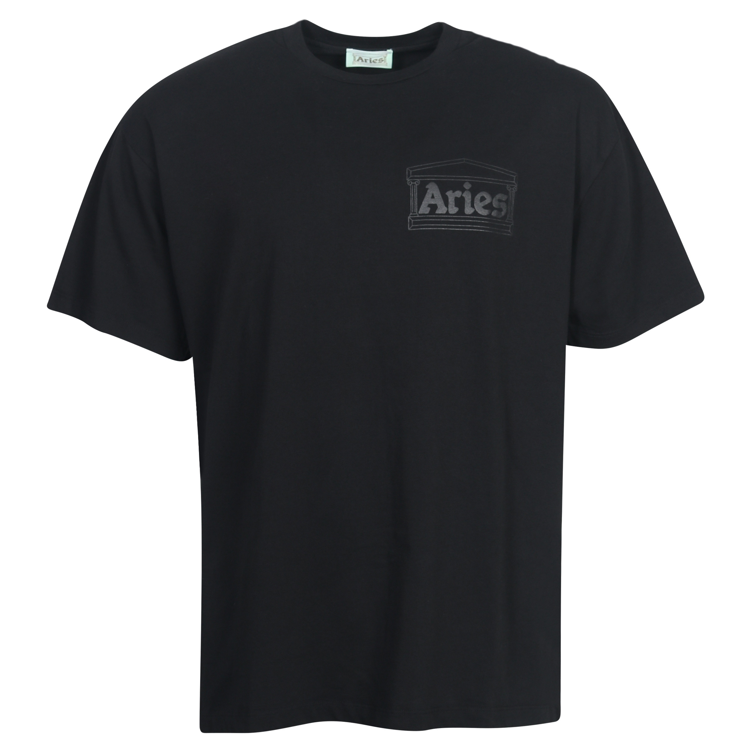 Unisex Aries Temple T-Shirt in Black