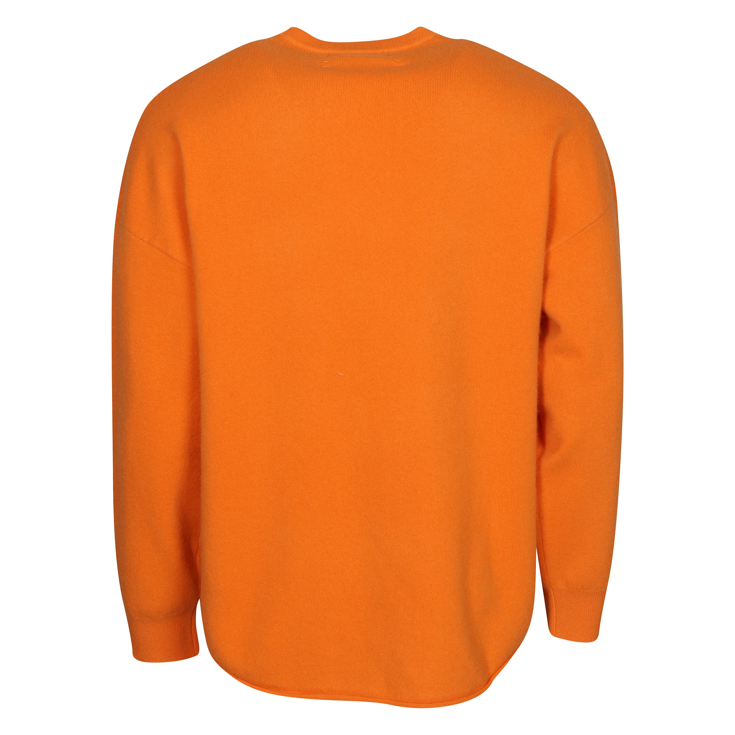 Extreme Cashmere Sweater N°53 Crew Hop in Carrot
