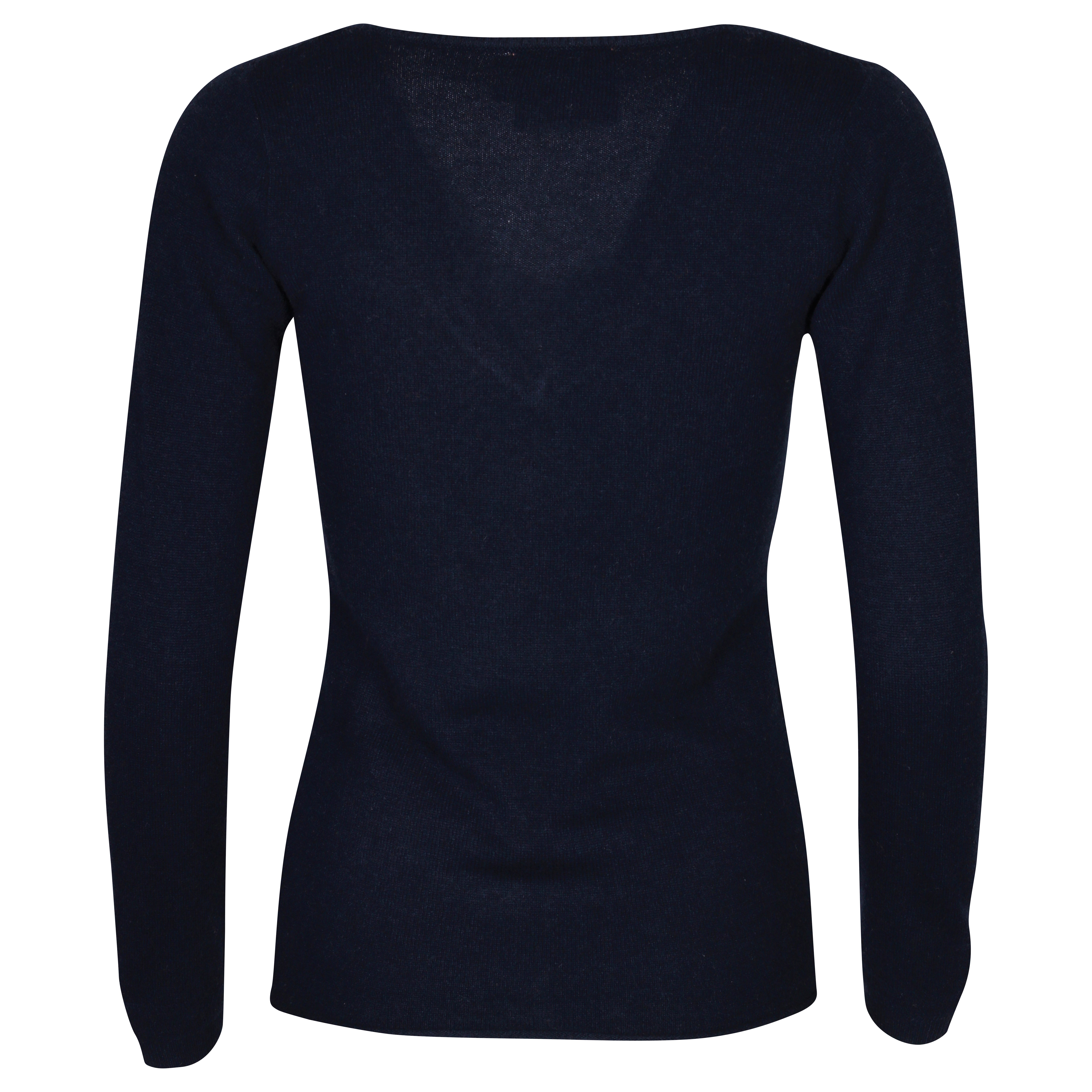 Absolut Cashmere Fitted V-Neck Sweater in Navy