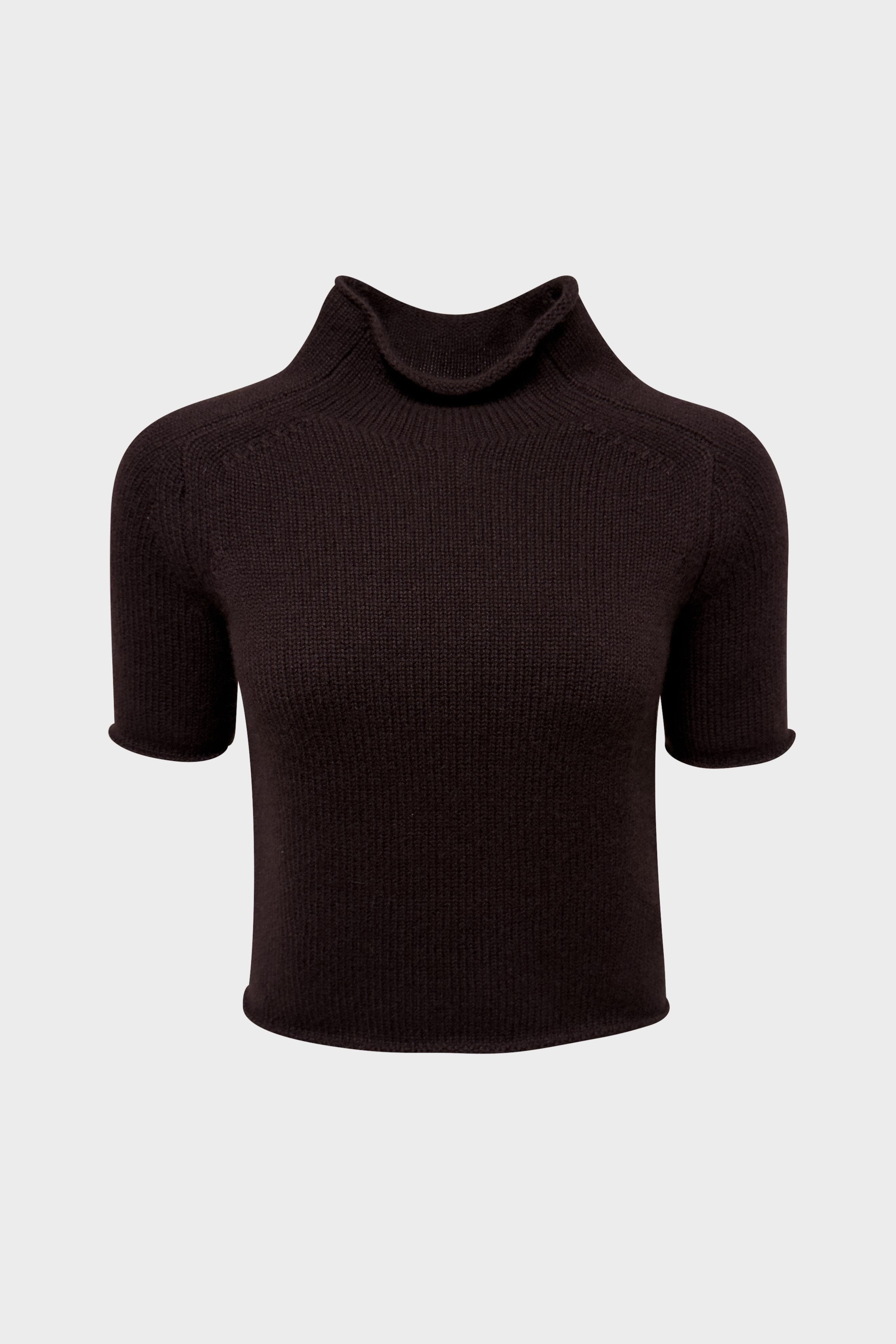 LISA YANG Cashmere Turtle Neck T-Shirt in Mahogony