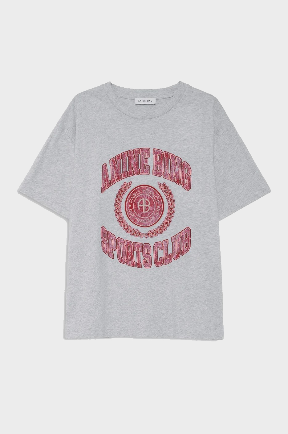 ANINE BING Cade Tee Collegiate in Grey