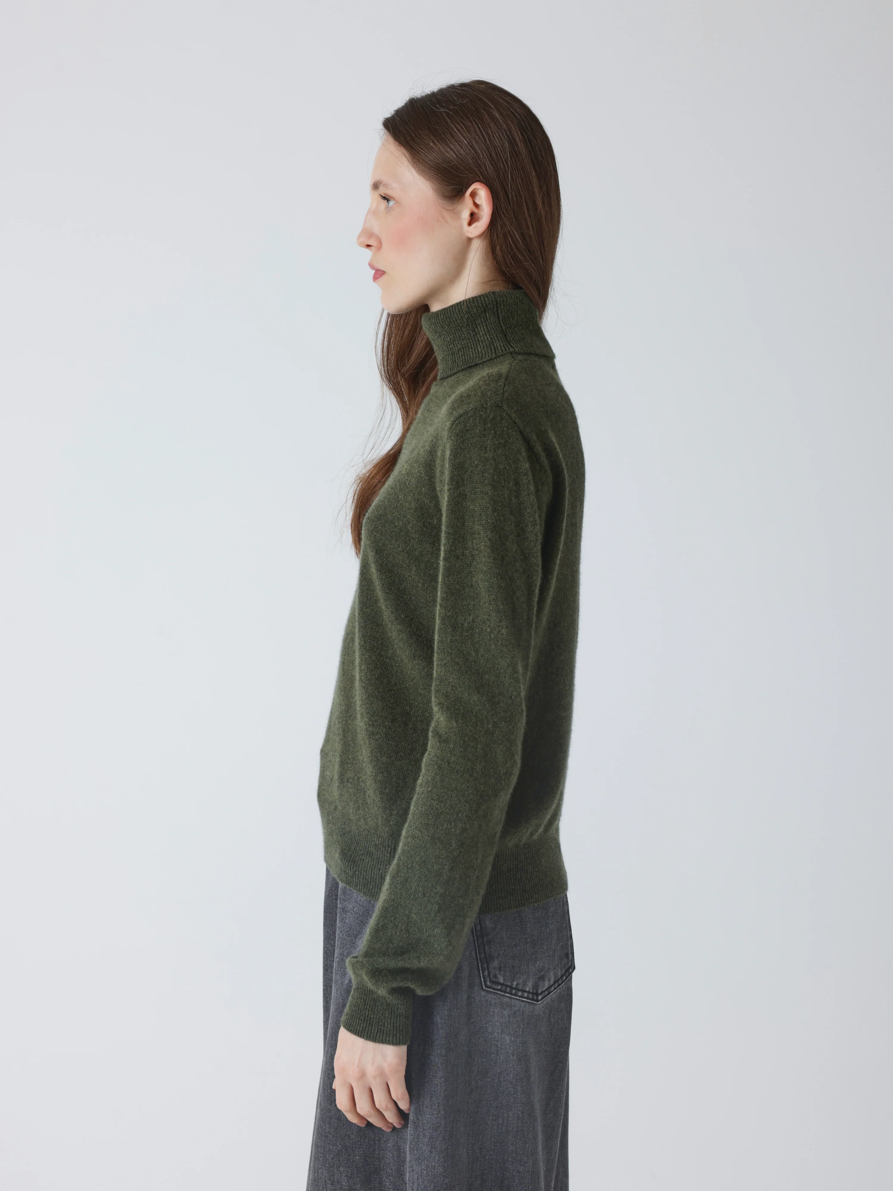 ABSOLUT CASHMERE Roll Neck Sweater in Forest