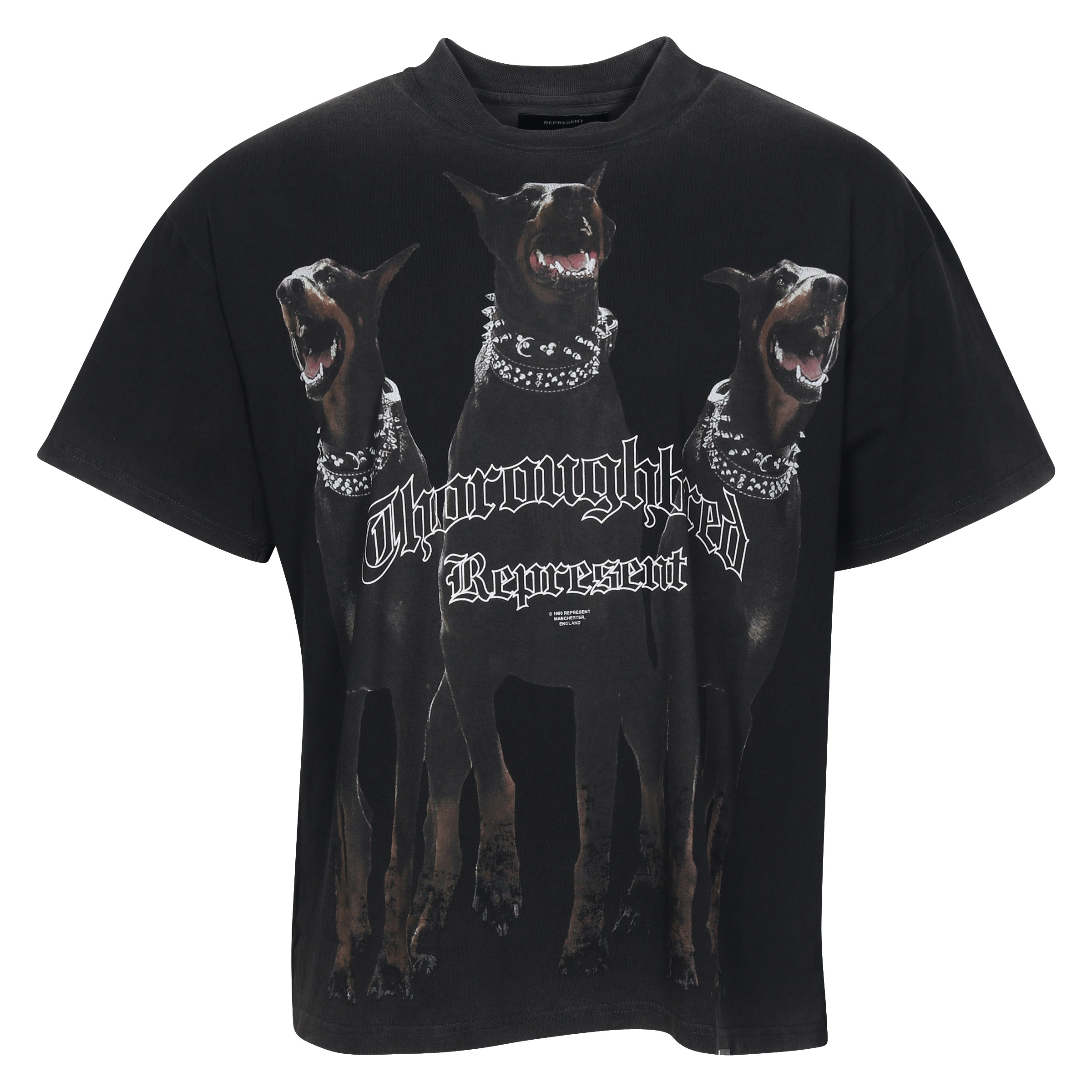 Represent Thoroughbred T-Shirt in Vintage Black L
