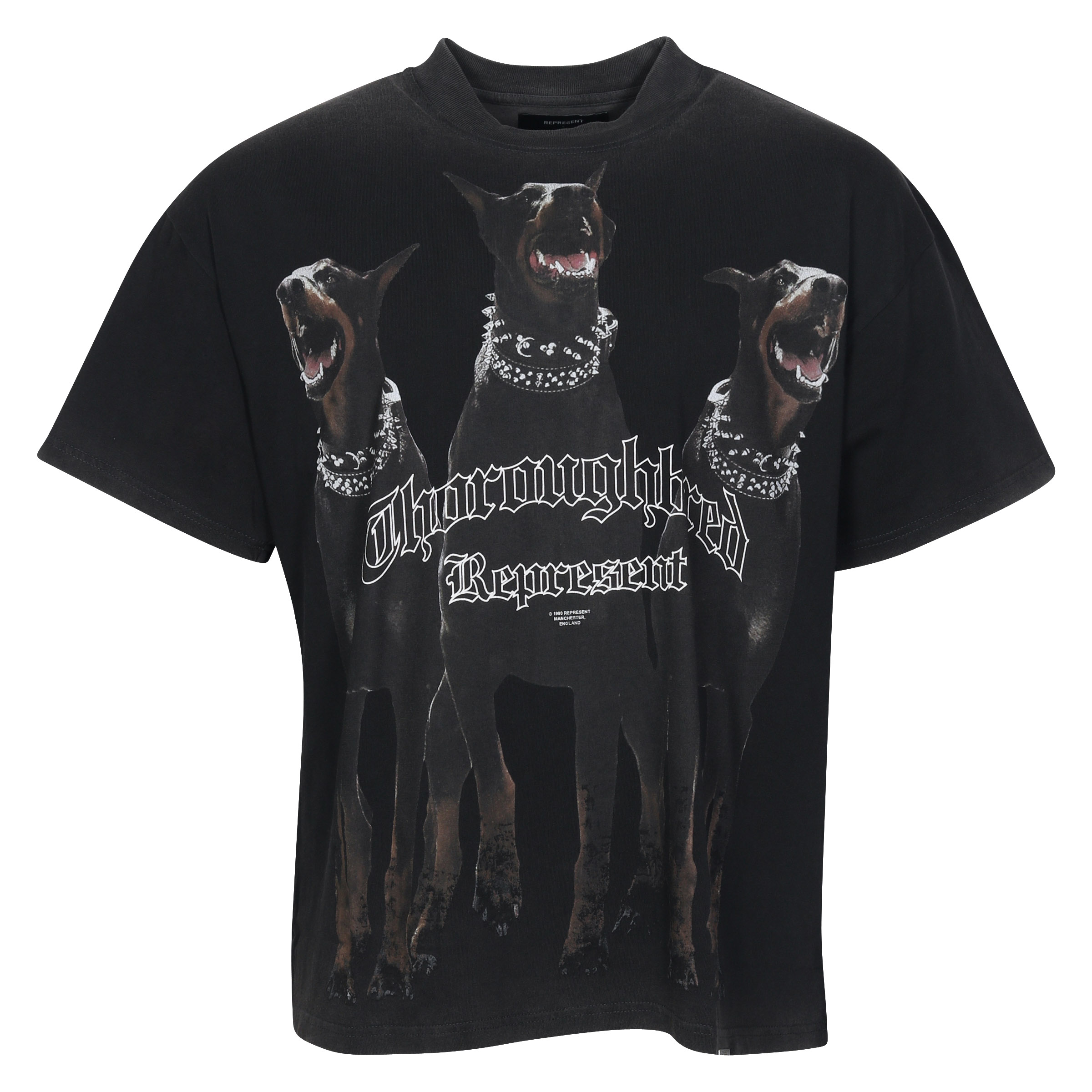 Represent Thoroughbred T-Shirt in Vintage Black
