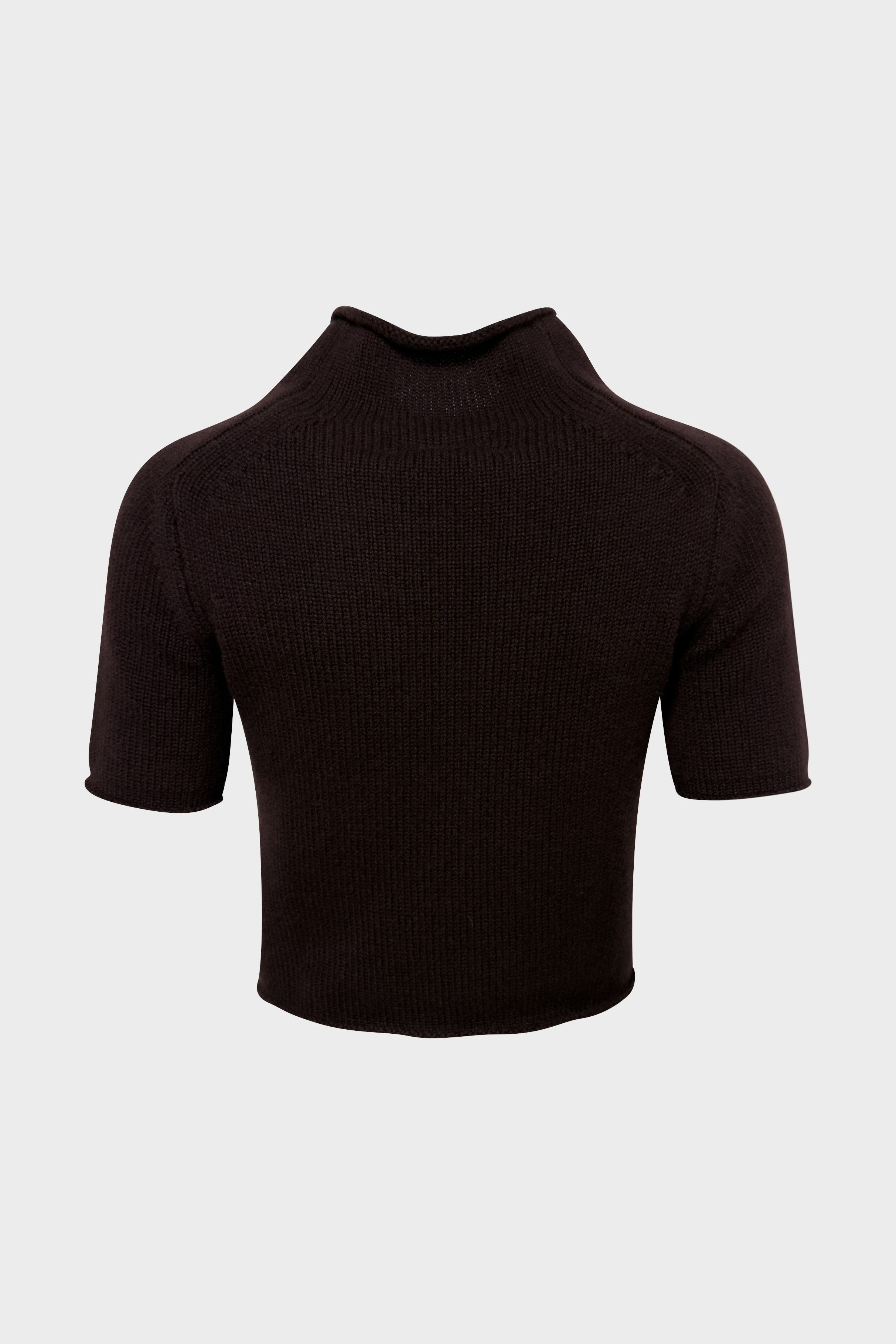LISA YANG Cashmere Turtle Neck T-Shirt in Mahogony