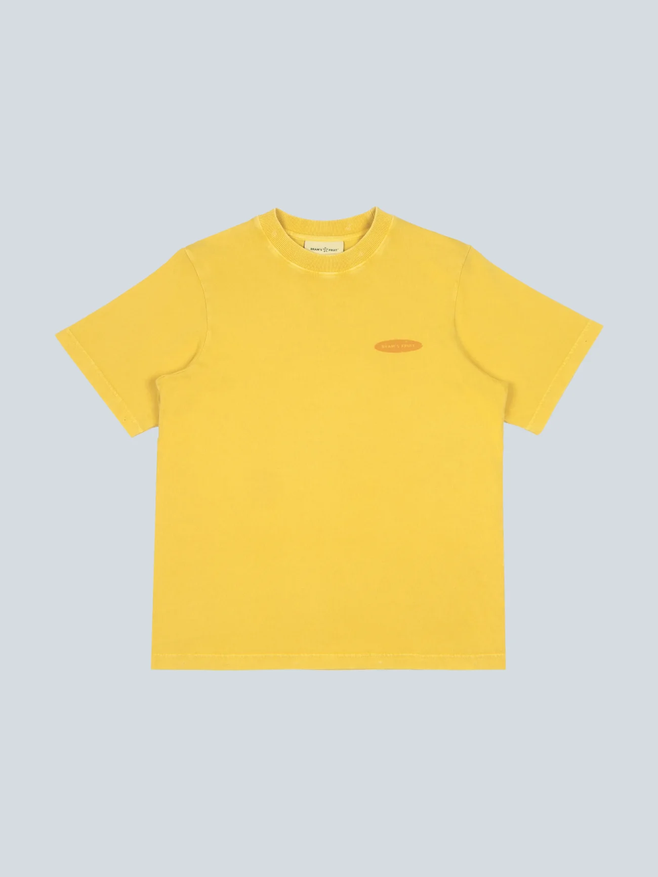 BRAM'S FRUIT ''F*ck Off'' Distressed T-Shirt in Washed Dried Orange