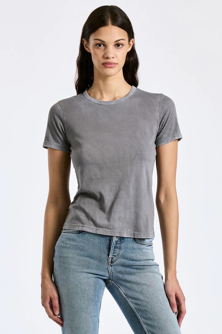 COTTON CITIZEN Standard Tee in Vintage Cement L