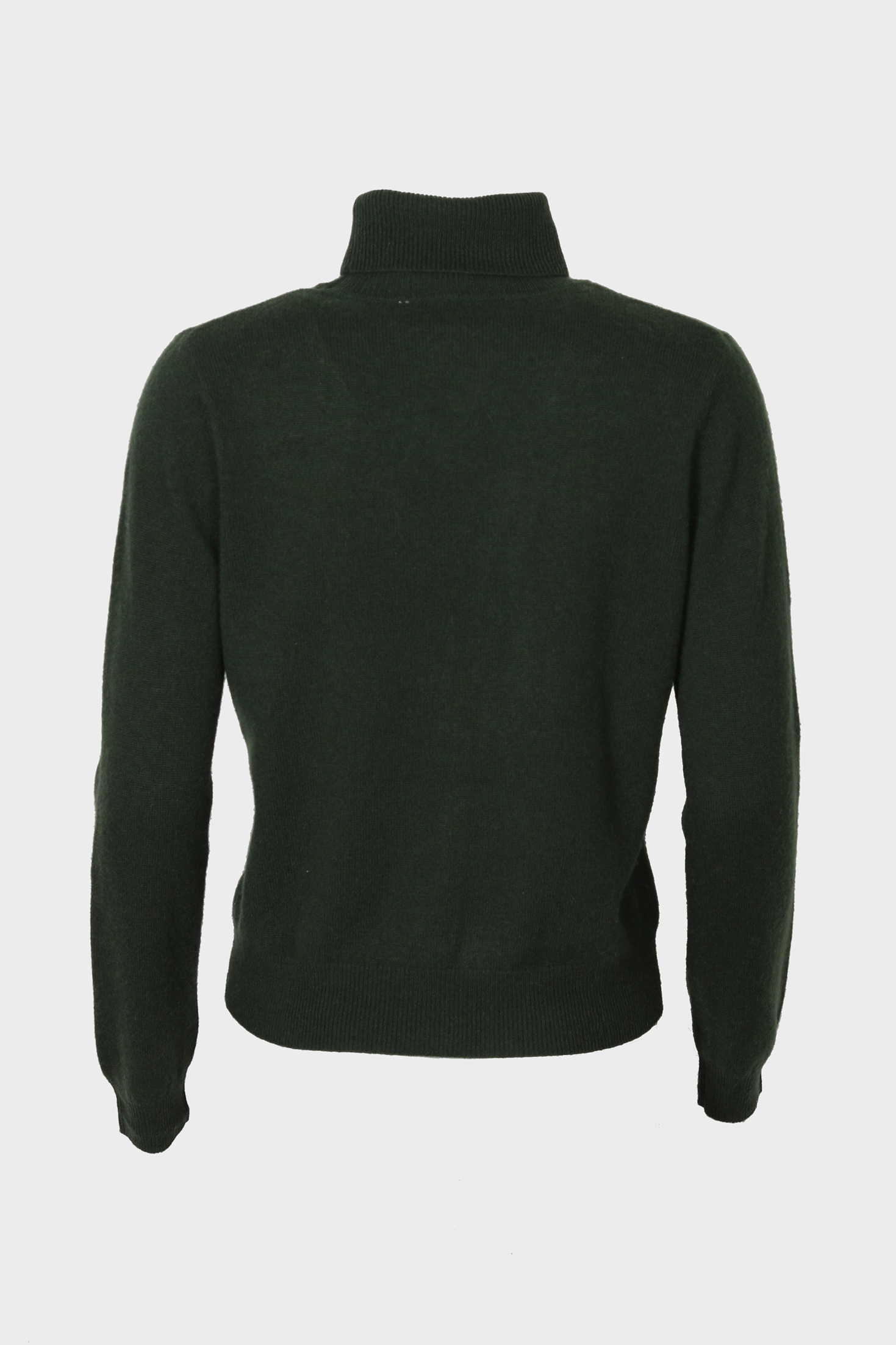 ABSOLUT CASHMERE Turtleneck Sweater in Green