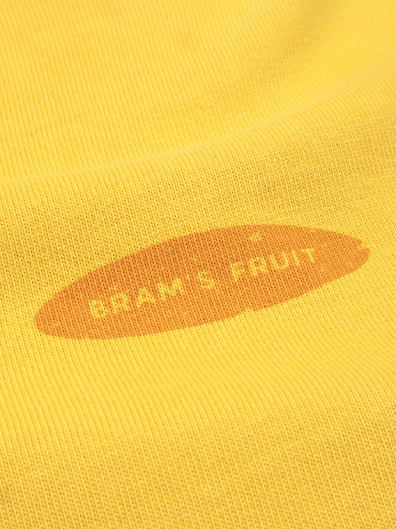 BRAM'S FRUIT ''F*ck Off'' Distressed T-Shirt in Washed Dried Orange