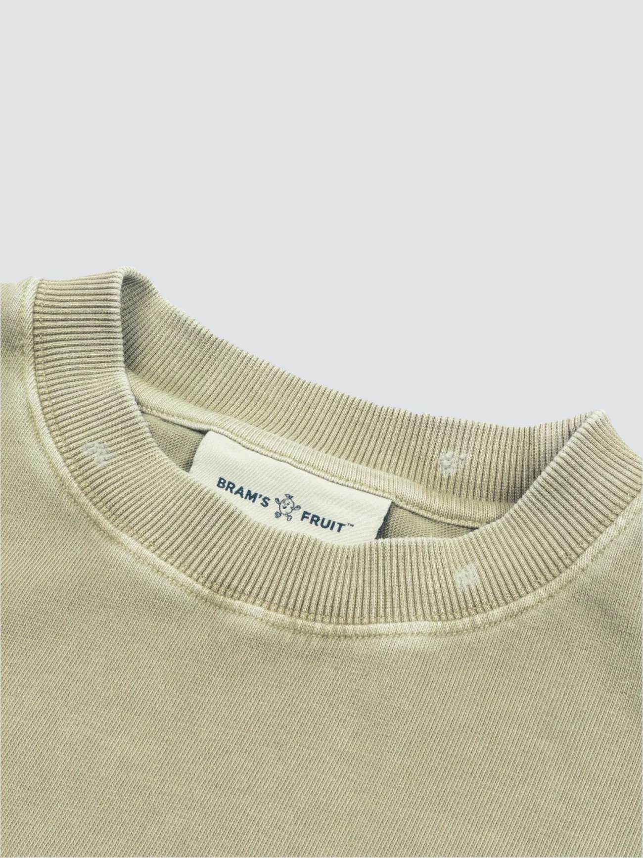 BRAM'S FRUIT ''F*ck Off'' Distressed T-Shirt in Washed Olive Green