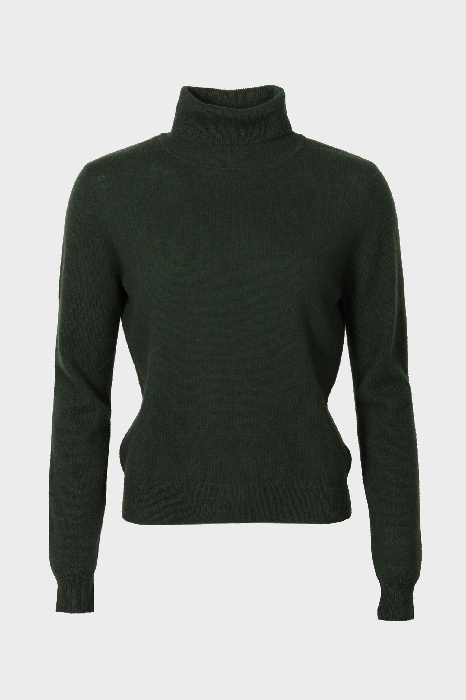 ABSOLUT CASHMERE Turtleneck Sweater in Green