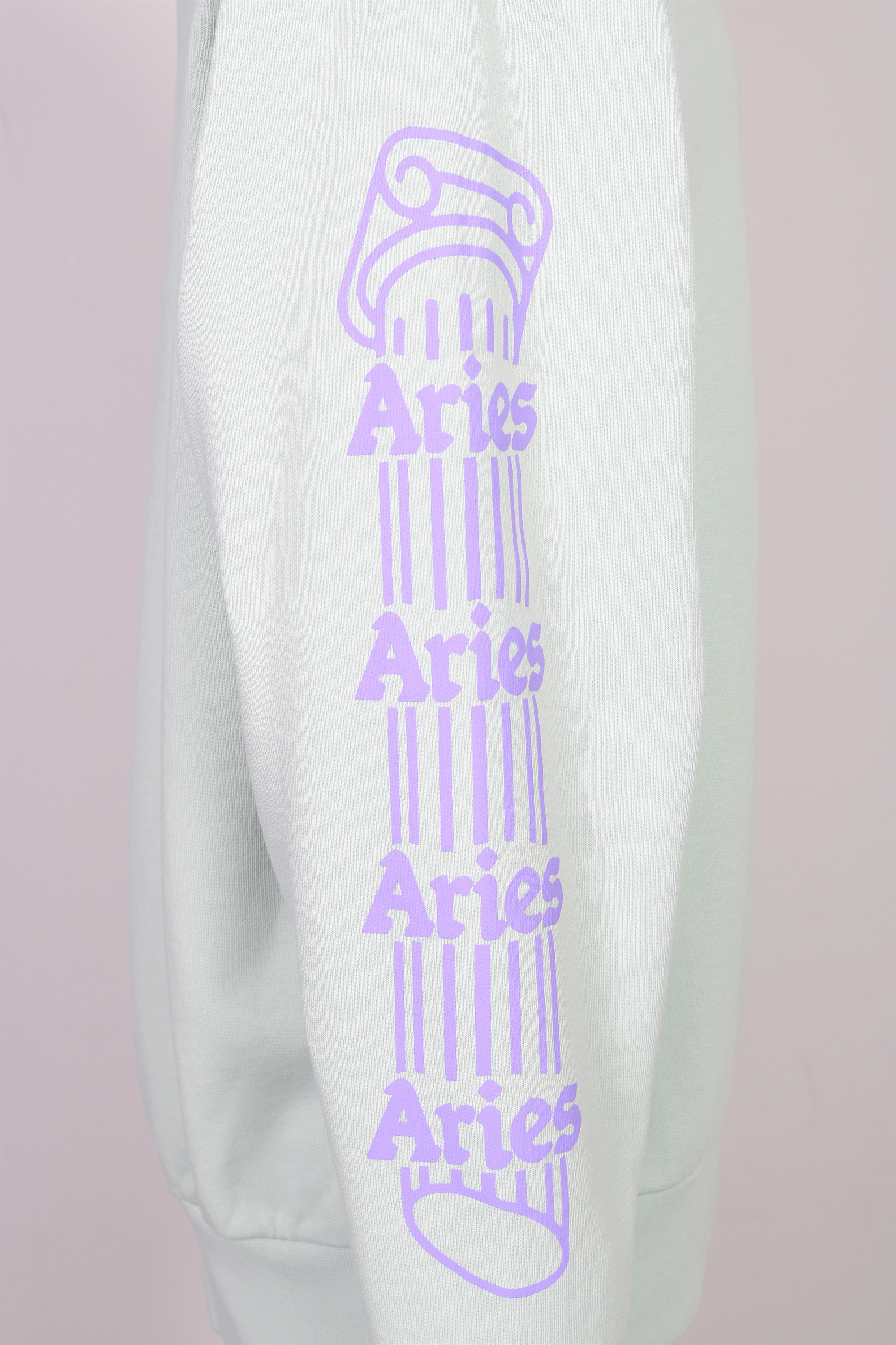 Unisex Aries Column Hoodie in Pale Mint XL