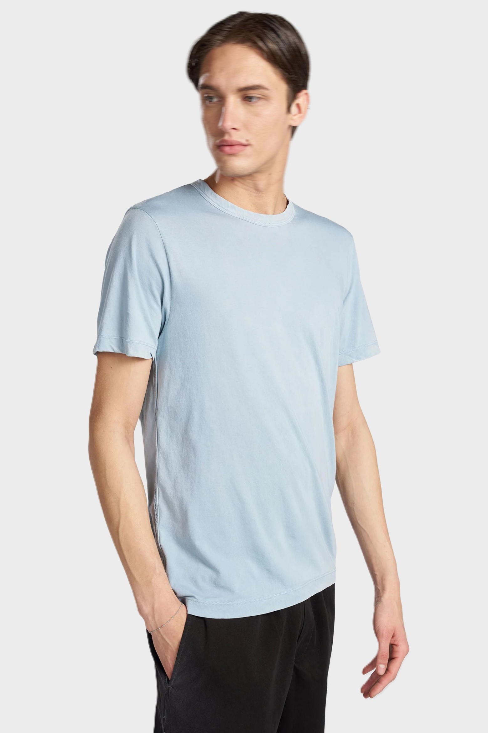 COTTON CITIZEN Classic Crewneck T-Shirt in Vintage Crystalline