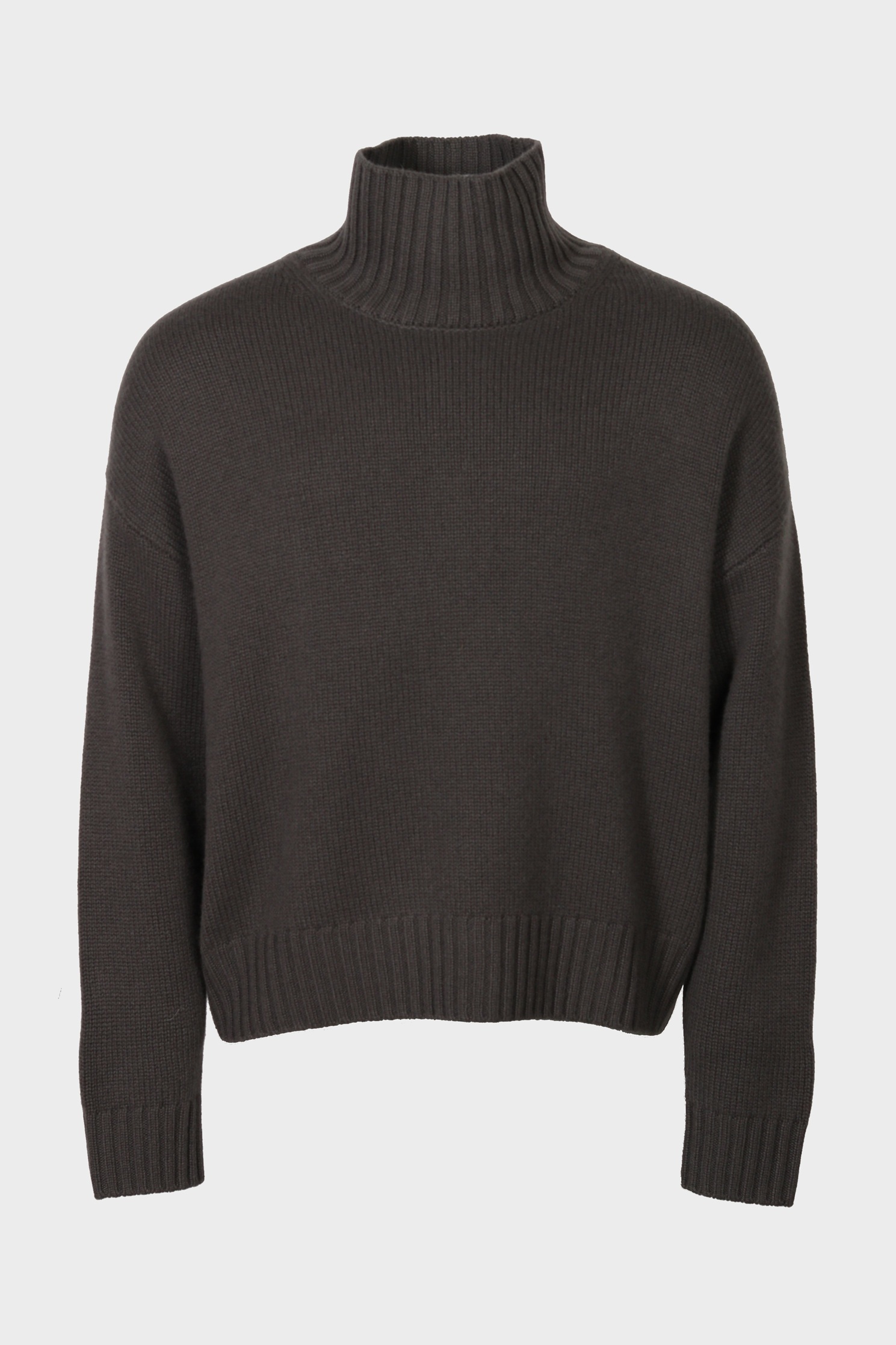 LISA YANG Olai Turtle Neck Sweater in Dark Fern