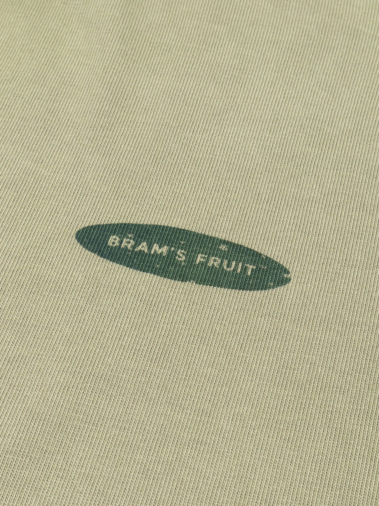 BRAM'S FRUIT ''F*ck Off'' Distressed T-Shirt in Washed Olive Green