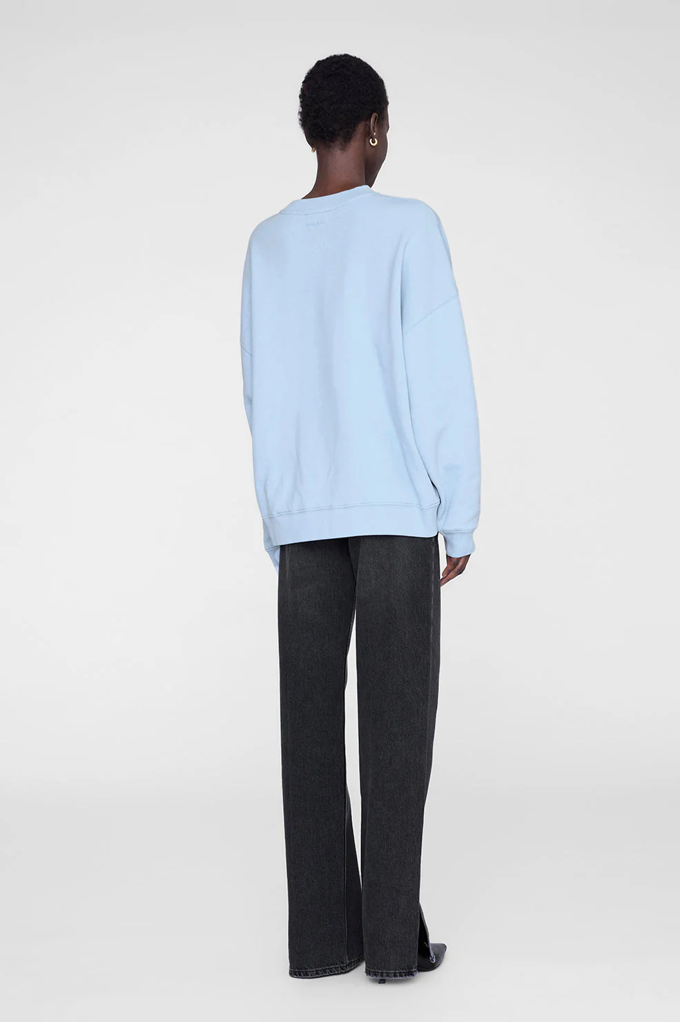 ANINE BING Miles Sweatshirt in Pale Blue