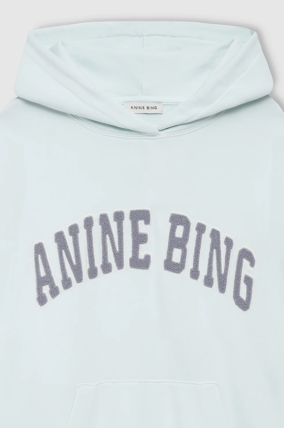 ANINE BING Harvey Sweatshirt in Spring Mint