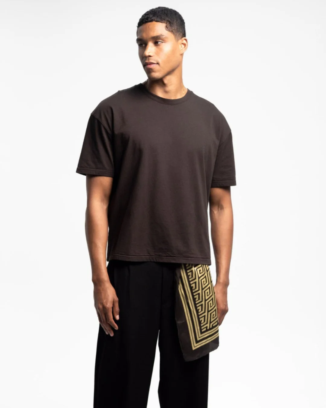 PERPLEX Cropped Boxy Fit T-Shirt in Brown
