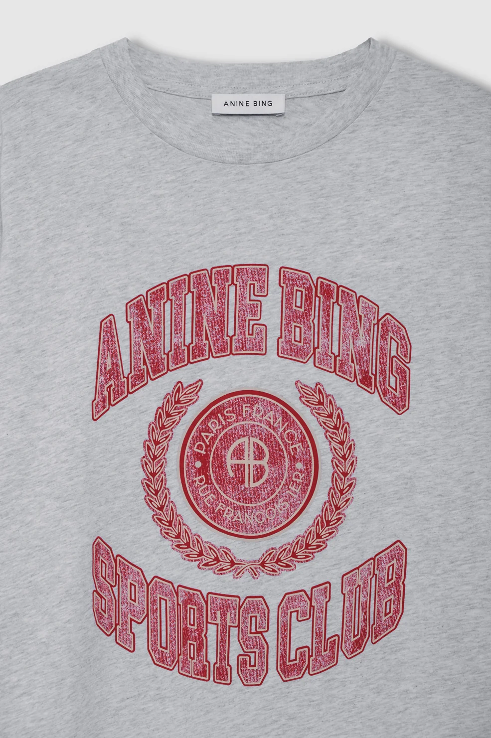 ANINE BING Cade Tee Collegiate in Grey