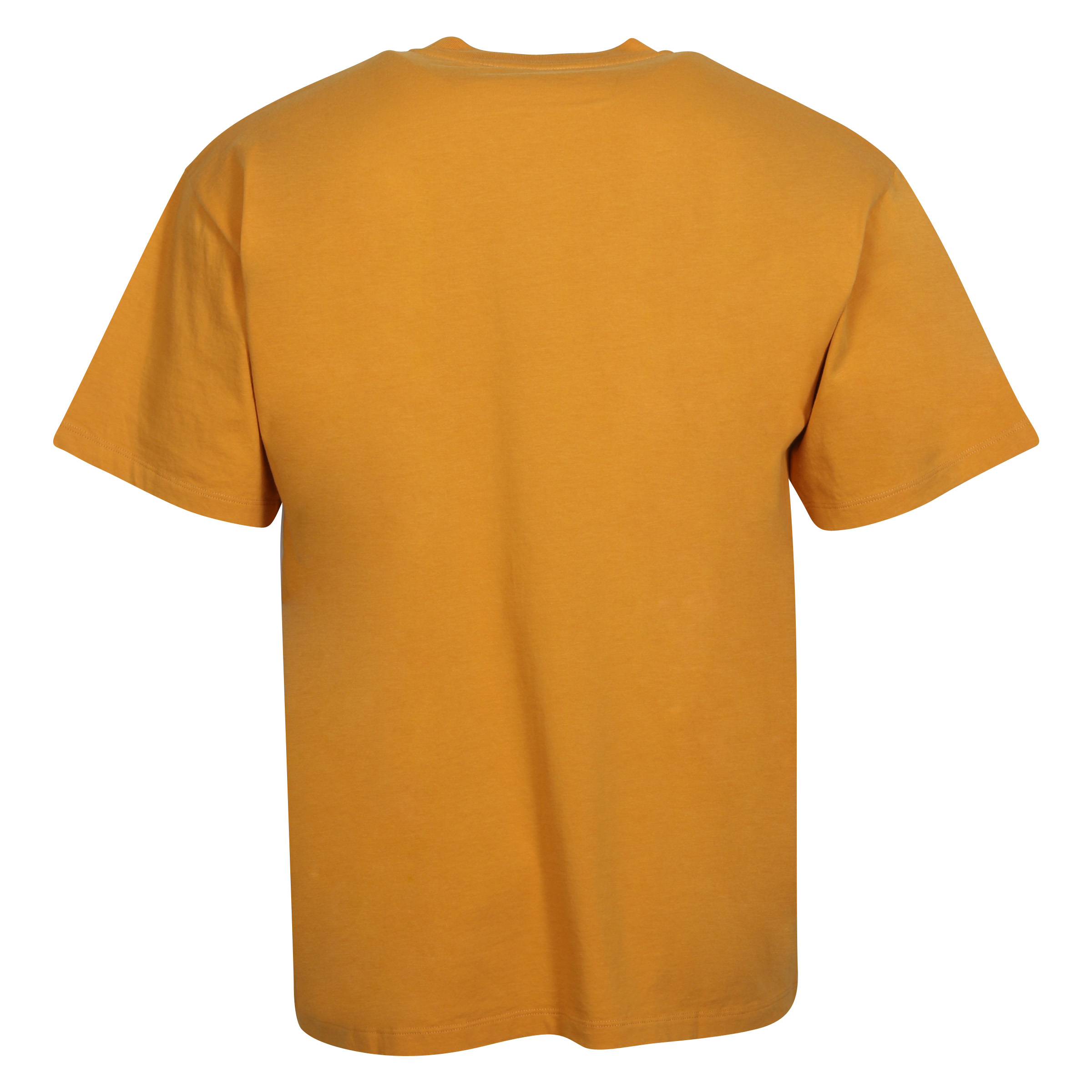 Unisex Aries Temple T-Shirt in Ochre